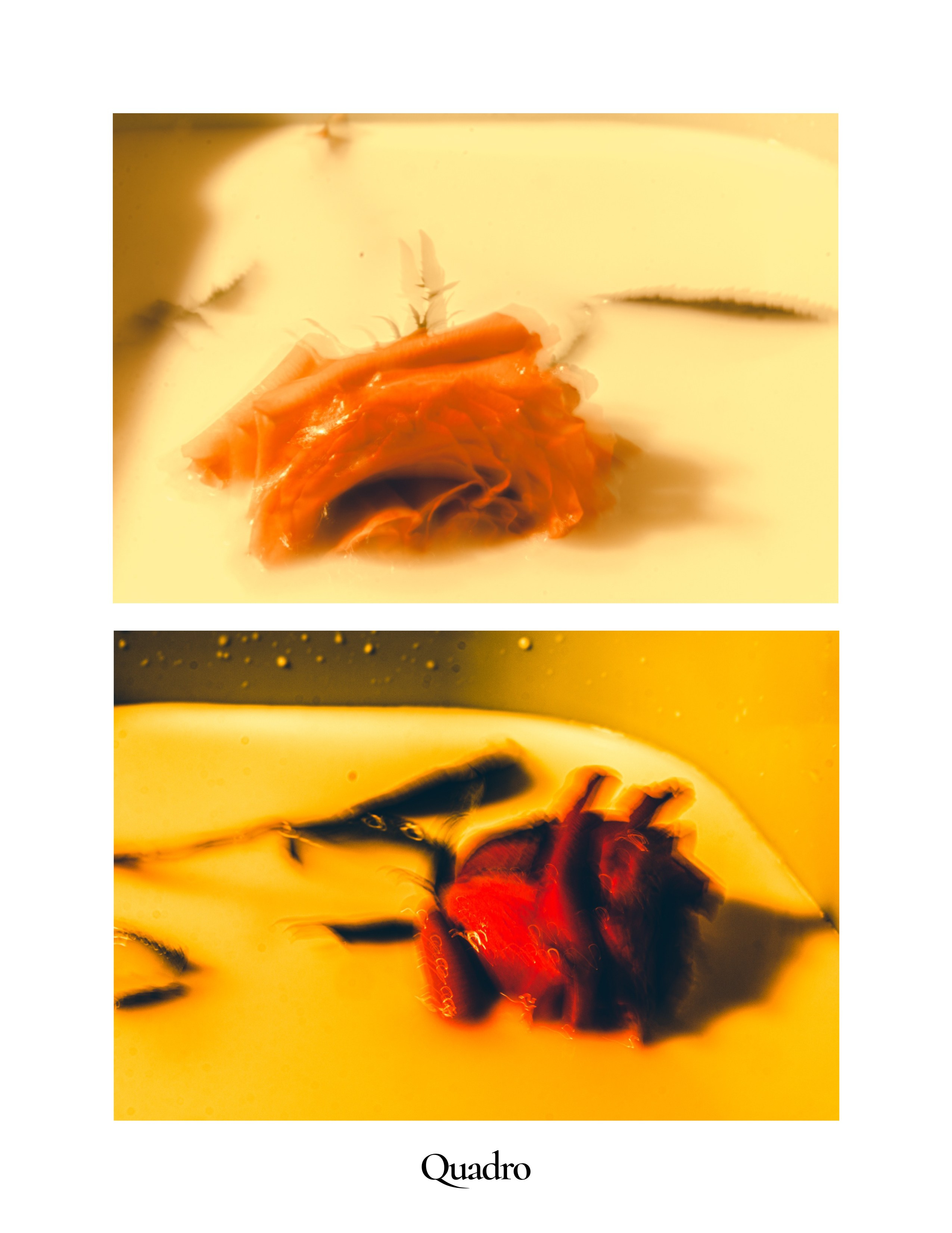 Ваш фотограф Северск | Томск