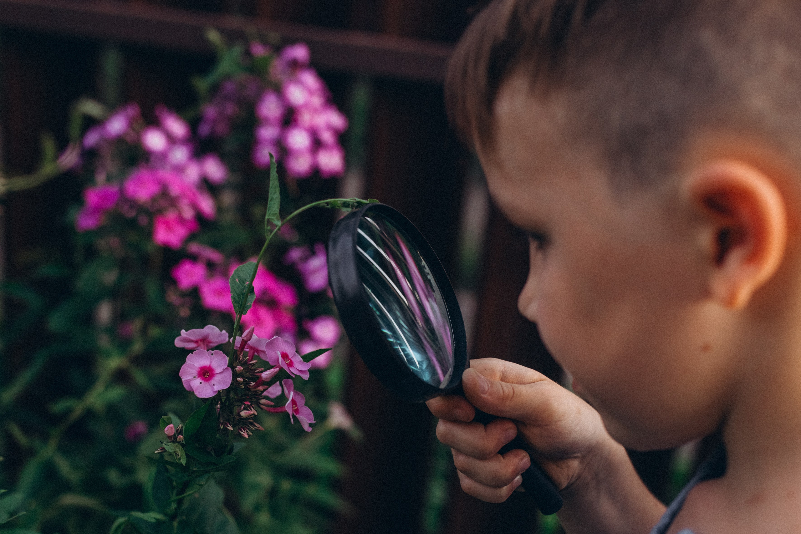 Дачная история. Семейный фотограф lifestyle в Новосибирске Елена Шпилевая