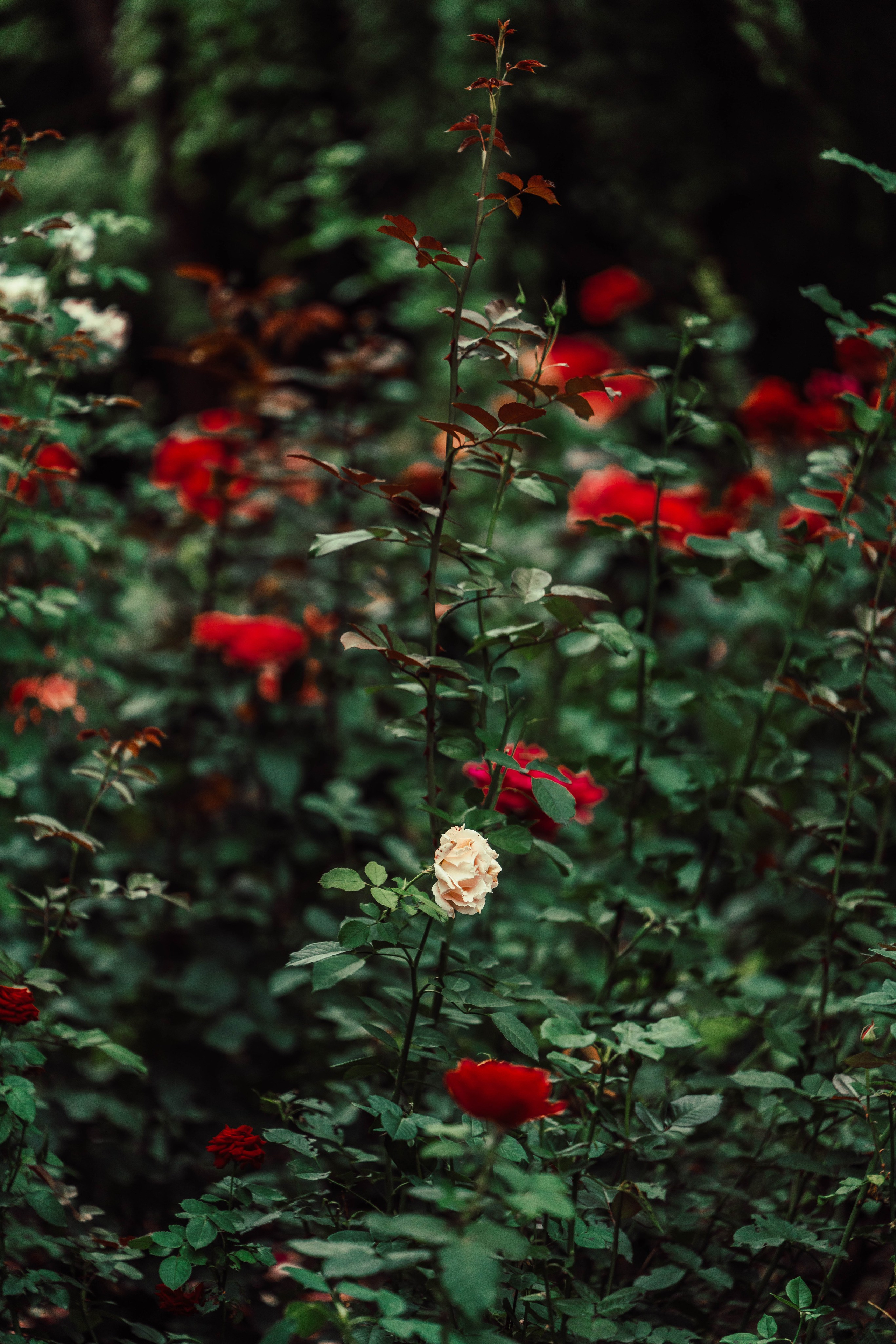 Усть-Каменогорск, Сентябрь 2024