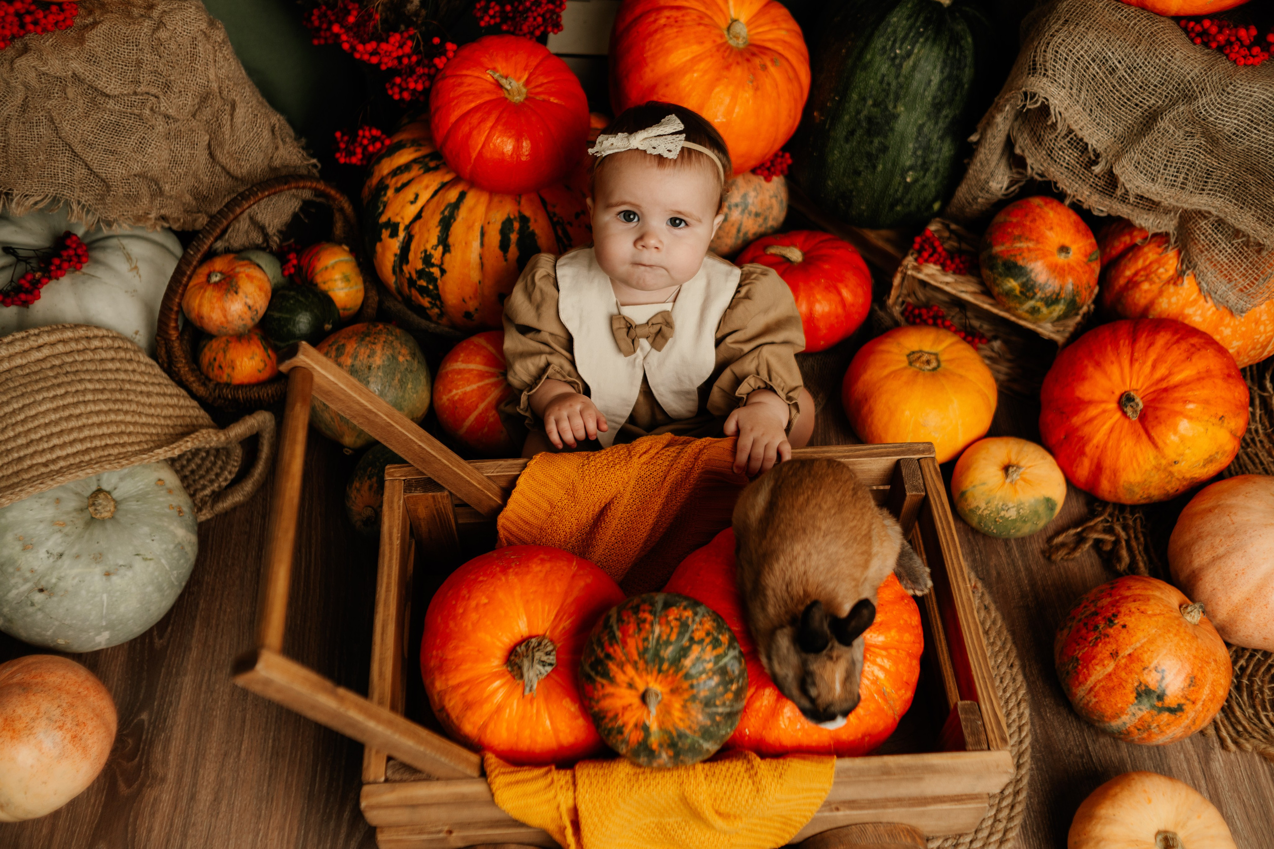 Фотопроекты. Фотограф новорождённых семейный фотограф Томск Елена Каплина