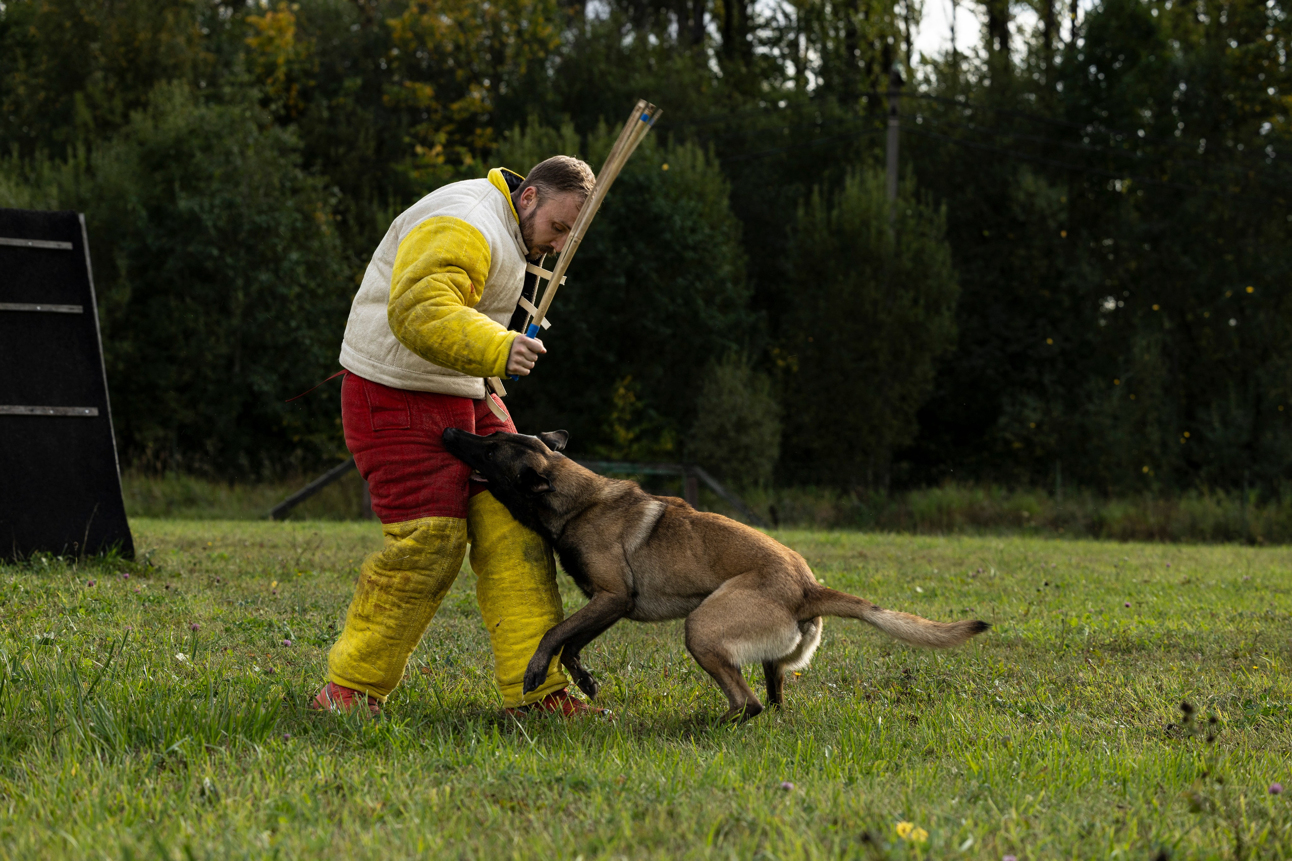 Испытания по Мондьорингу г. Пушкин. Фотограф-анималист Анна Маринич