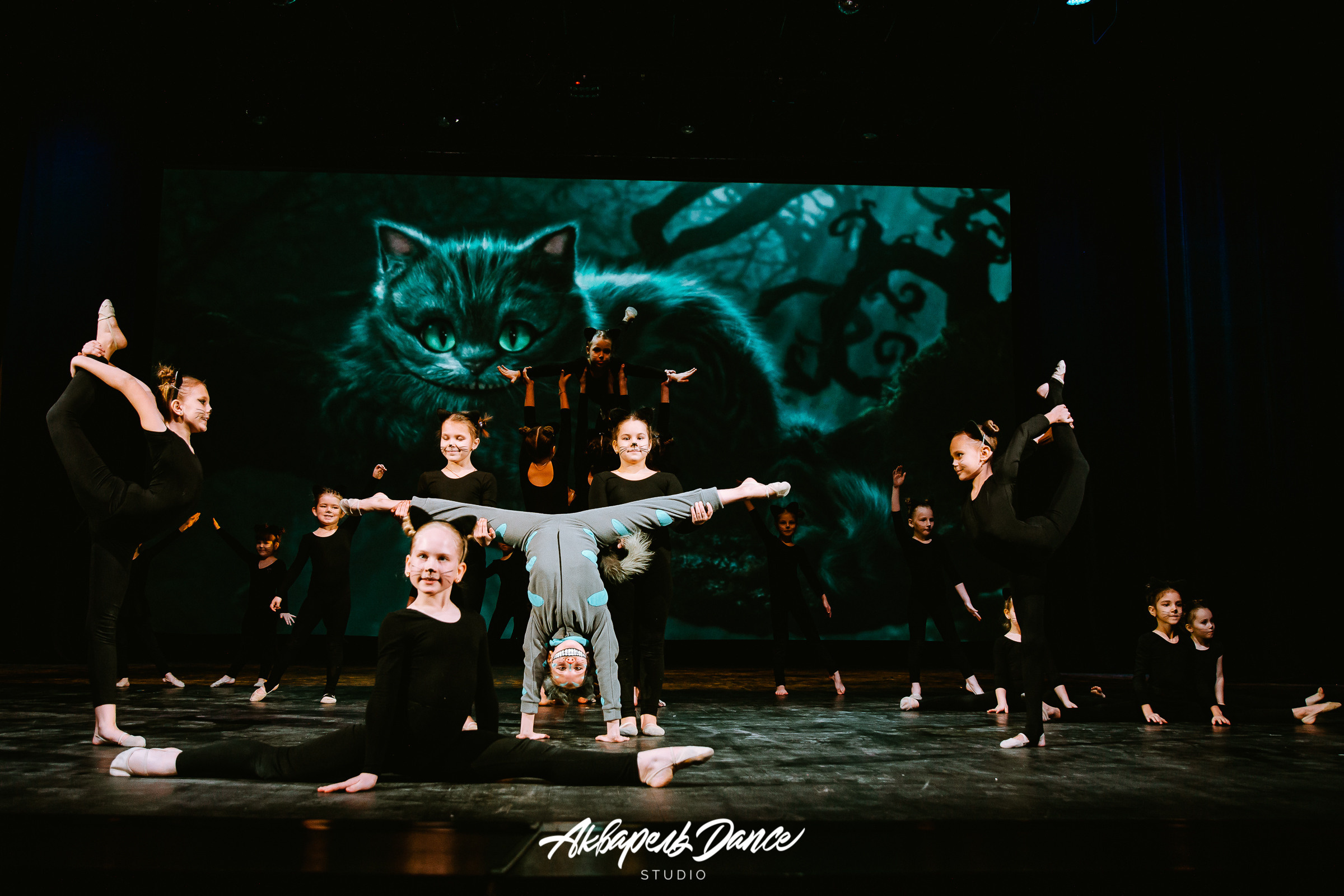 Алиса в стране чудес. Свадебный Семейный Репортажный фотограф в Москве