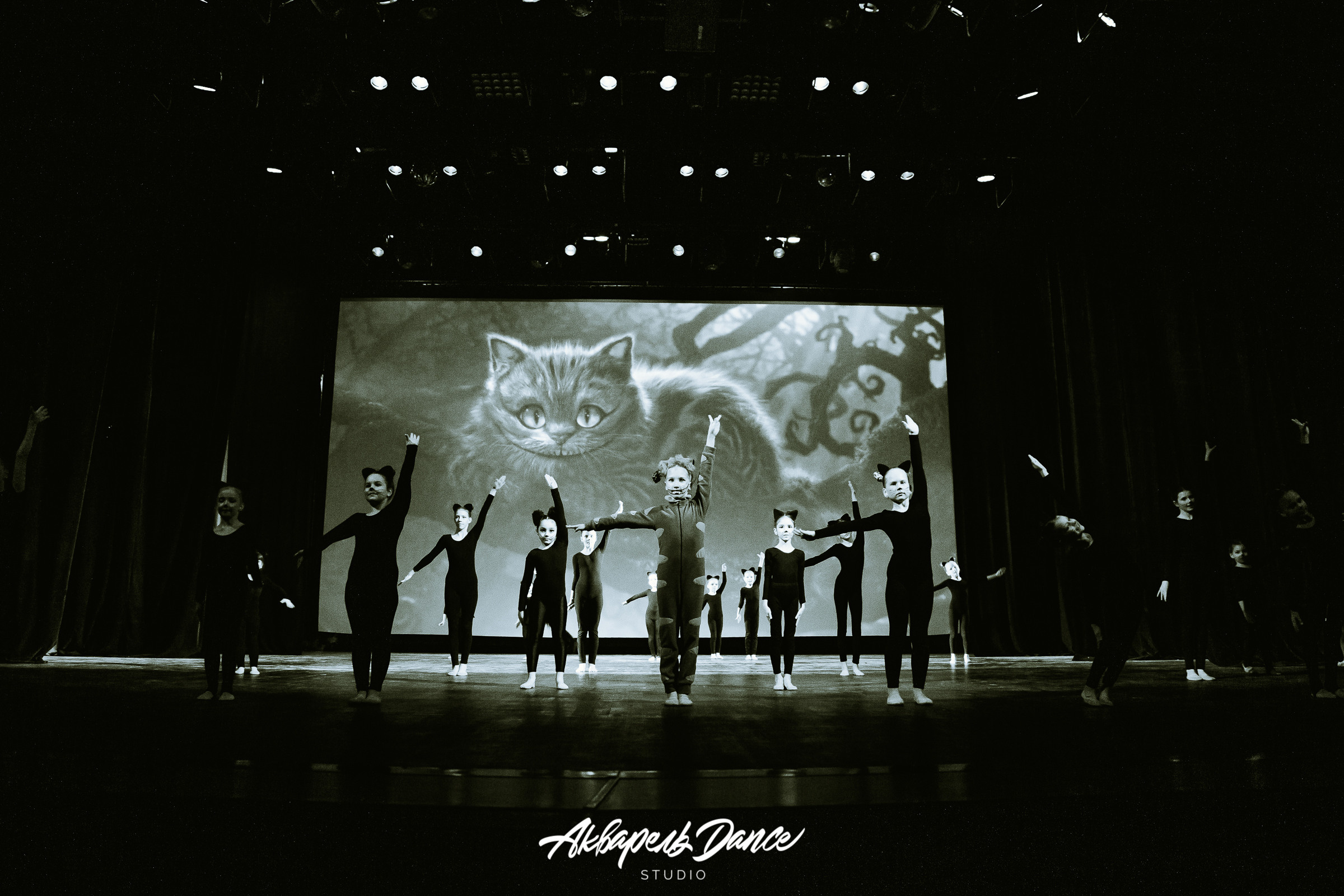 Алиса в стране чудес. Свадебный Семейный Репортажный фотограф в Москве