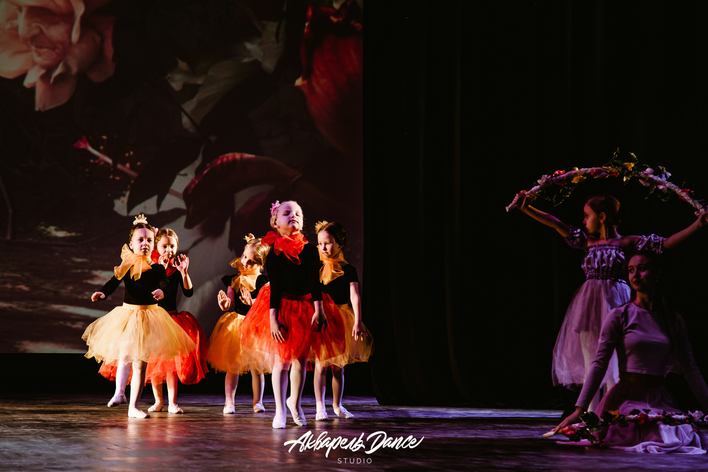 Алиса в стране чудес. Свадебный Семейный Репортажный фотограф в Москве