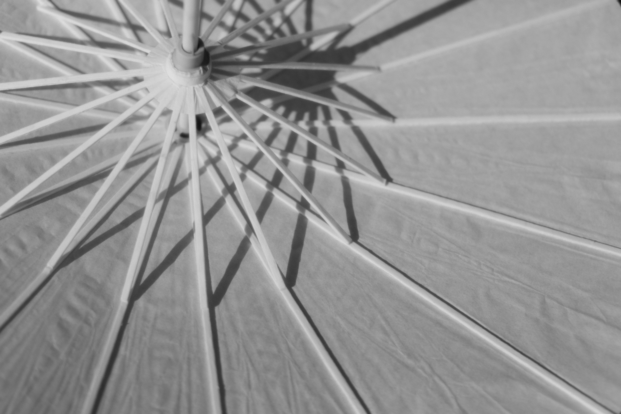 Полина & Евгений. Свадебный и семейный фотограф в Красноярске