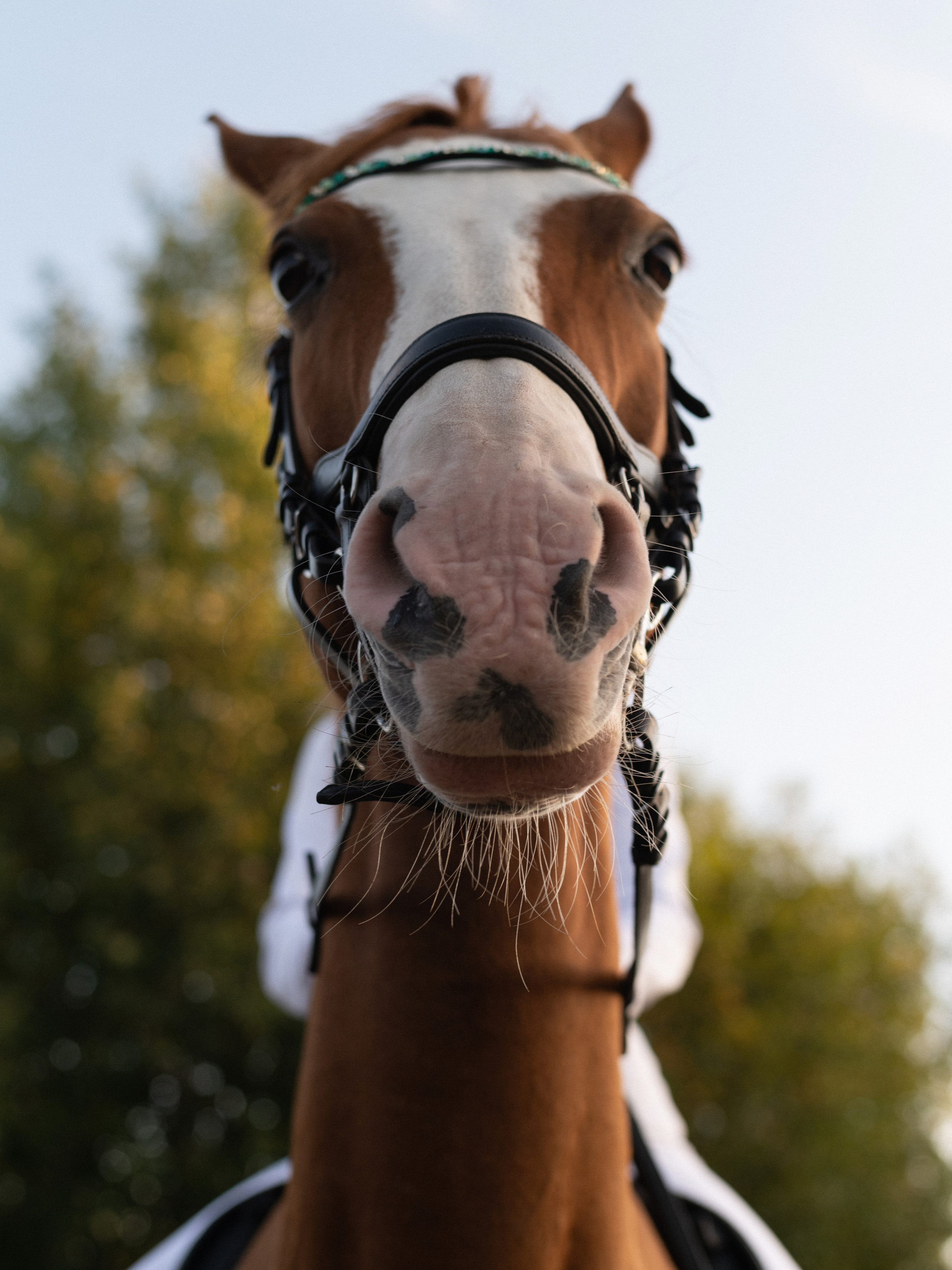 Александра. Фотограф Анна Хассаинет LIFE / LOVE/ IMAGE