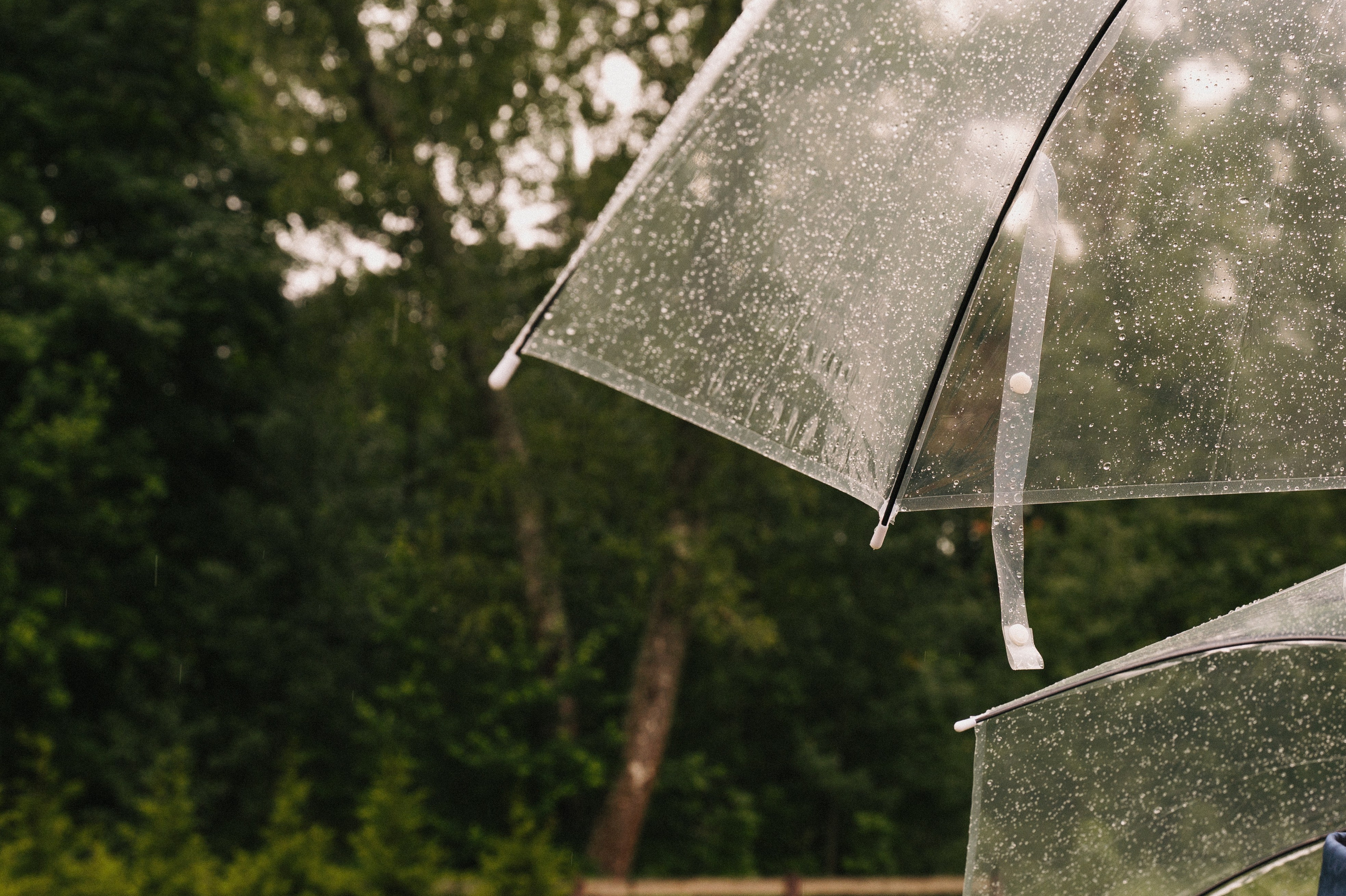 Светлана и Константин. Свадебный, репортажный и семейный фотограф в Москве Арина Зак