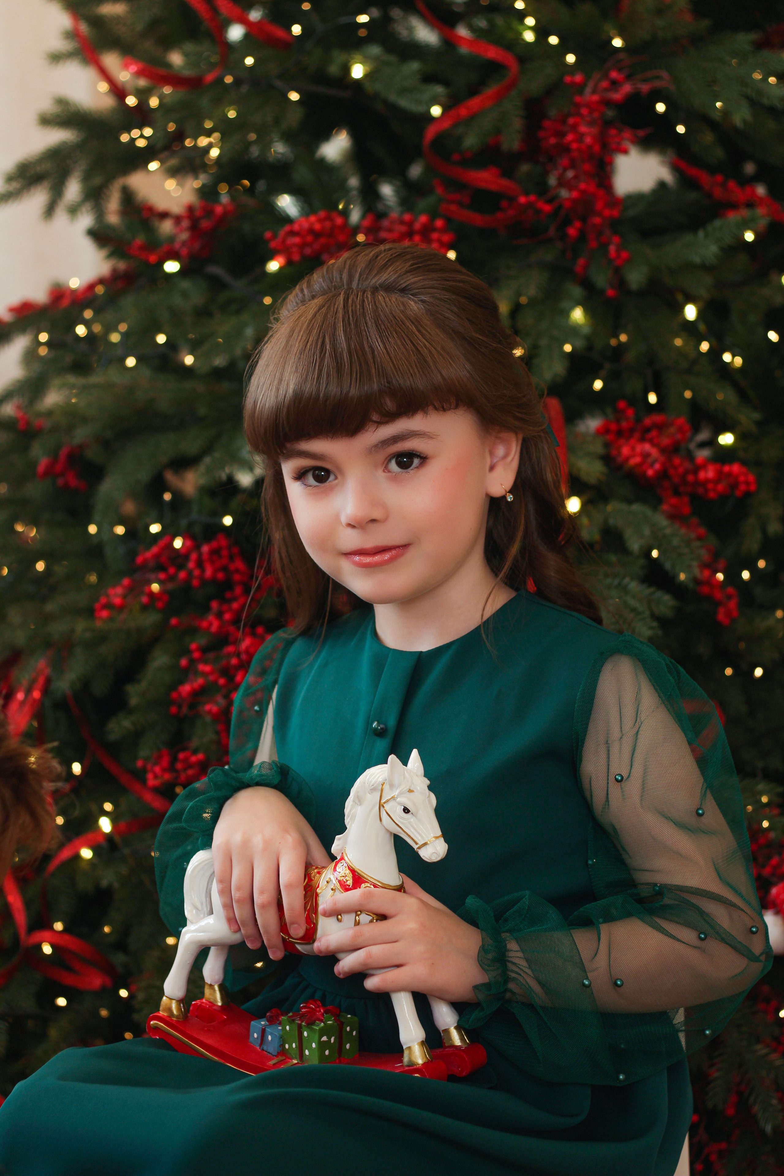 Новый Год. Фотограф Красноярск