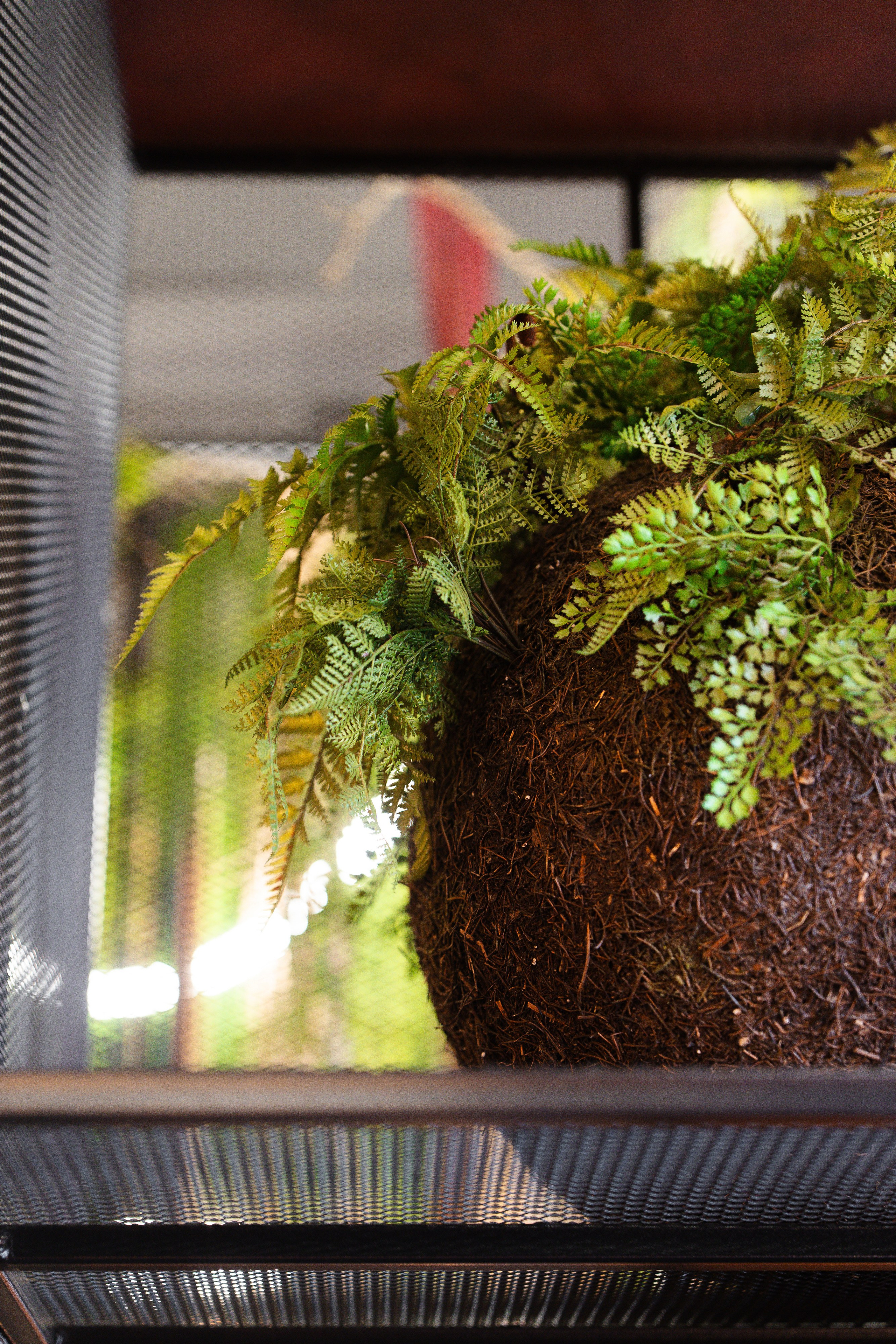 BIG-KEBAB. Фотограф Хабаровск