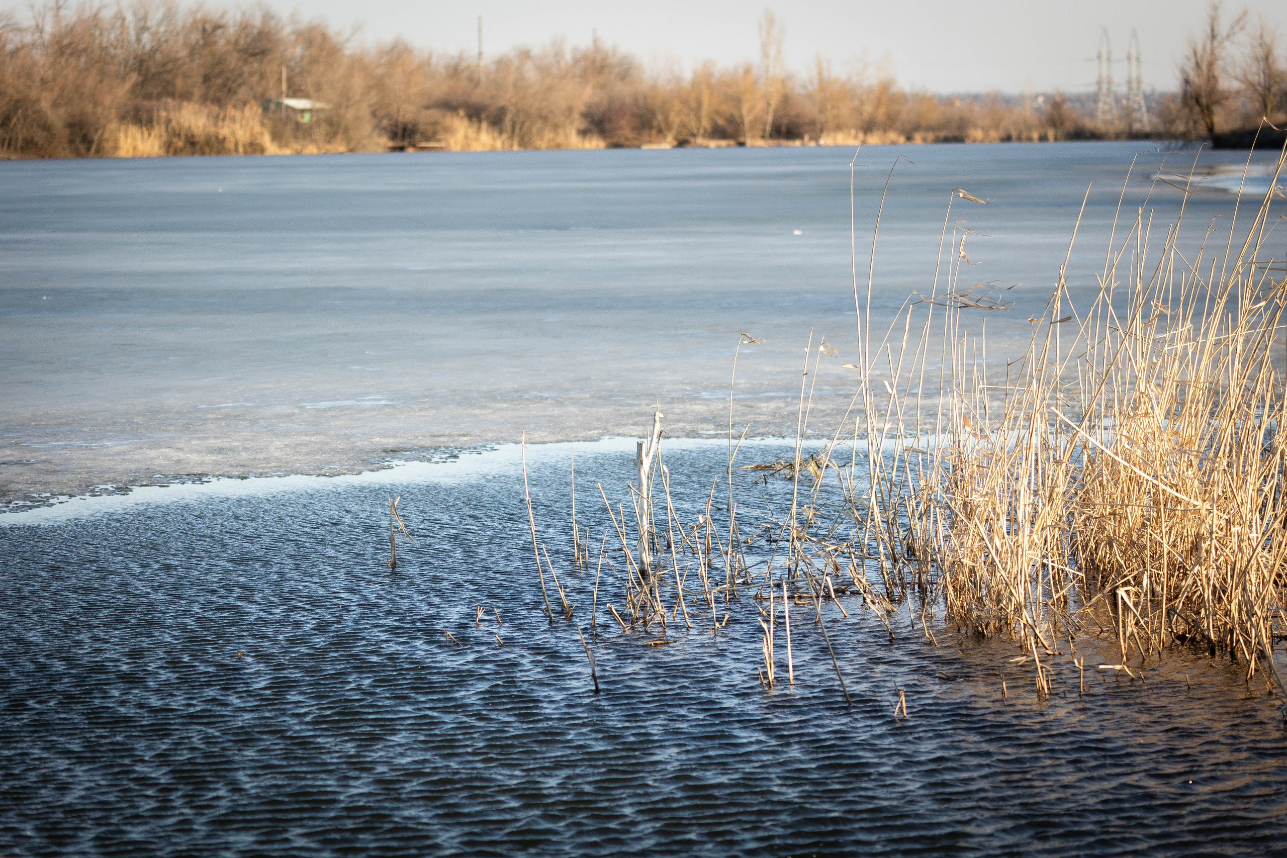 Дикий животный мир. Фотограф-АниМалист Анна Абрамова