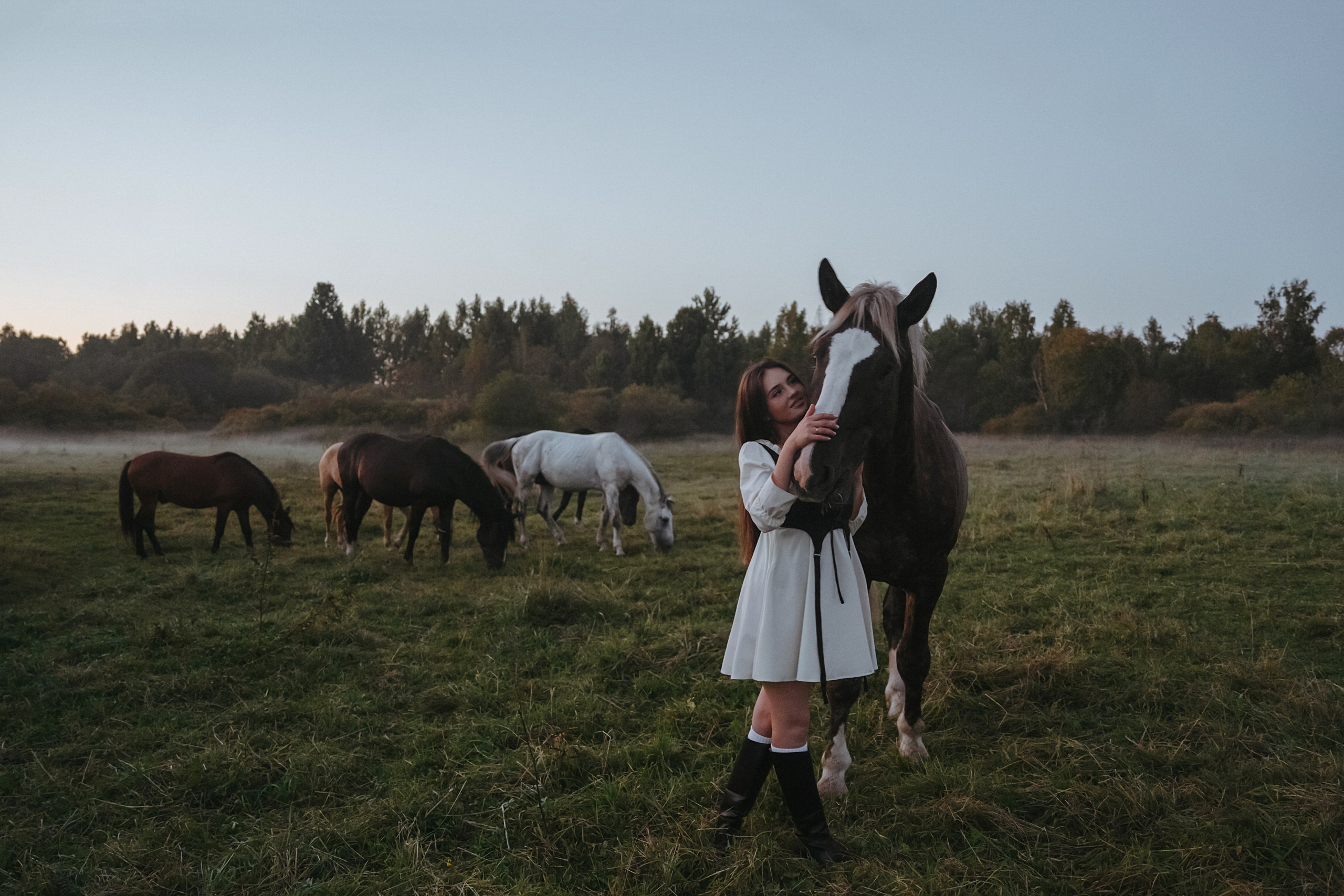 Конные. Главная