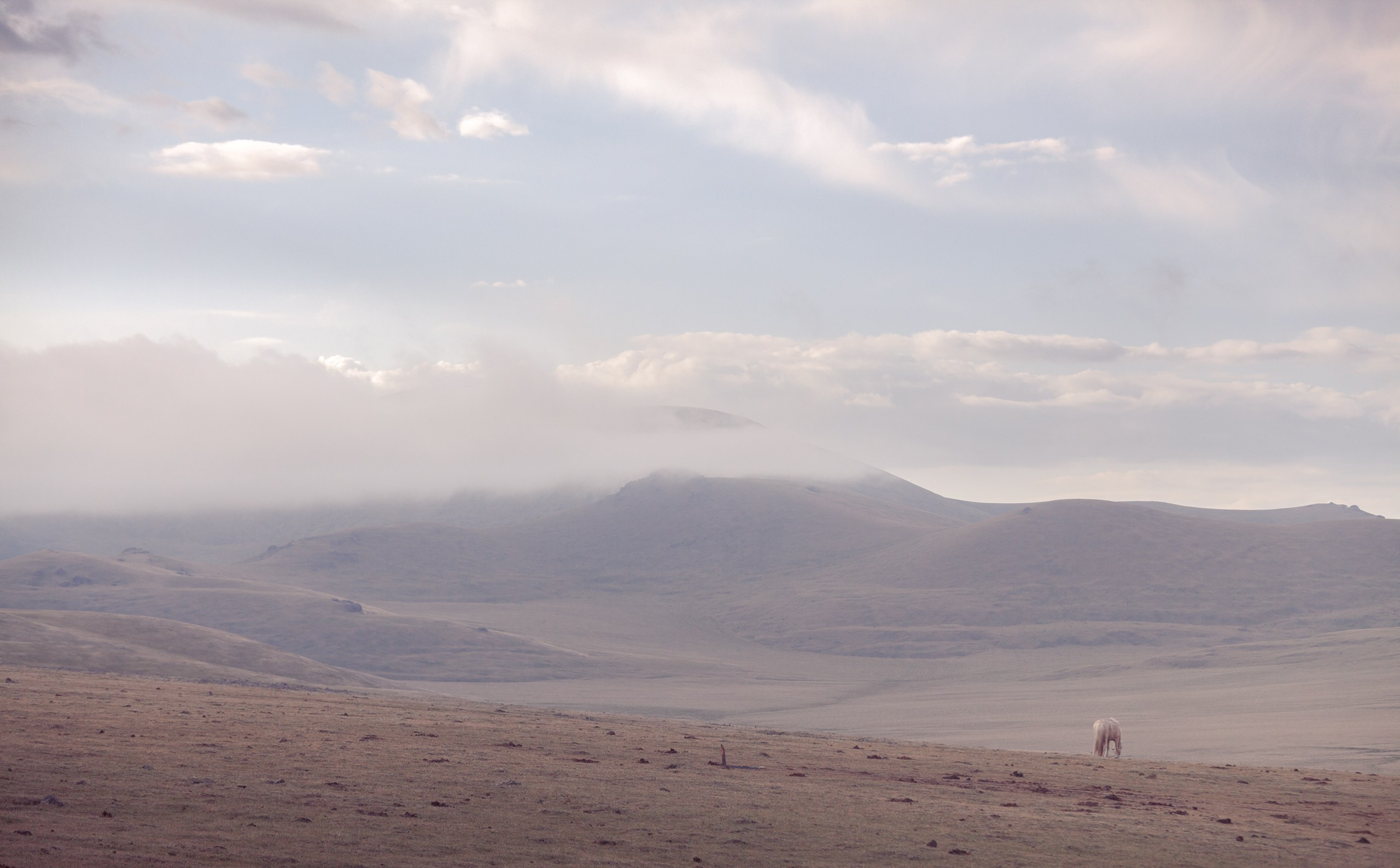 Монголия. Фотограф Владимир Медведев
