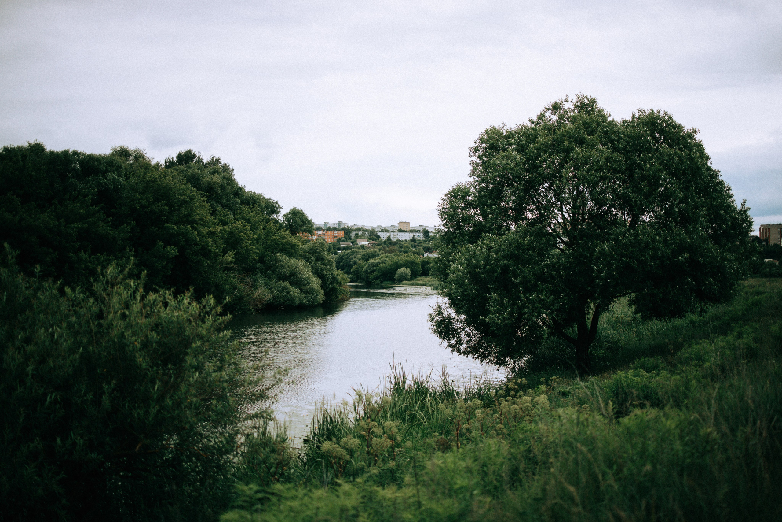 Прогулка по Криволучью. Свадебный и семейный фотограф в Туле и области Маша Костина