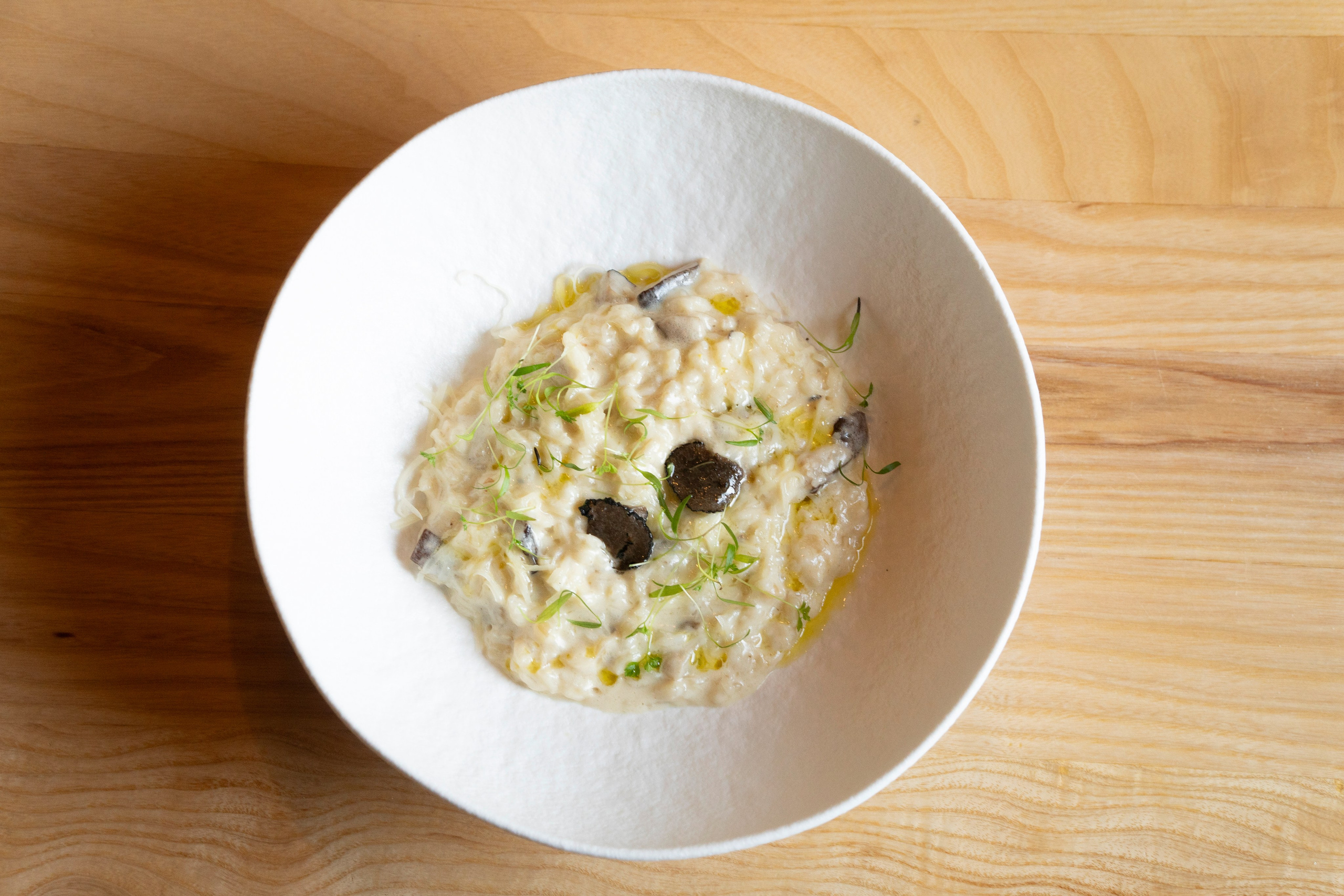 Рестораны. Maxon Magnusson