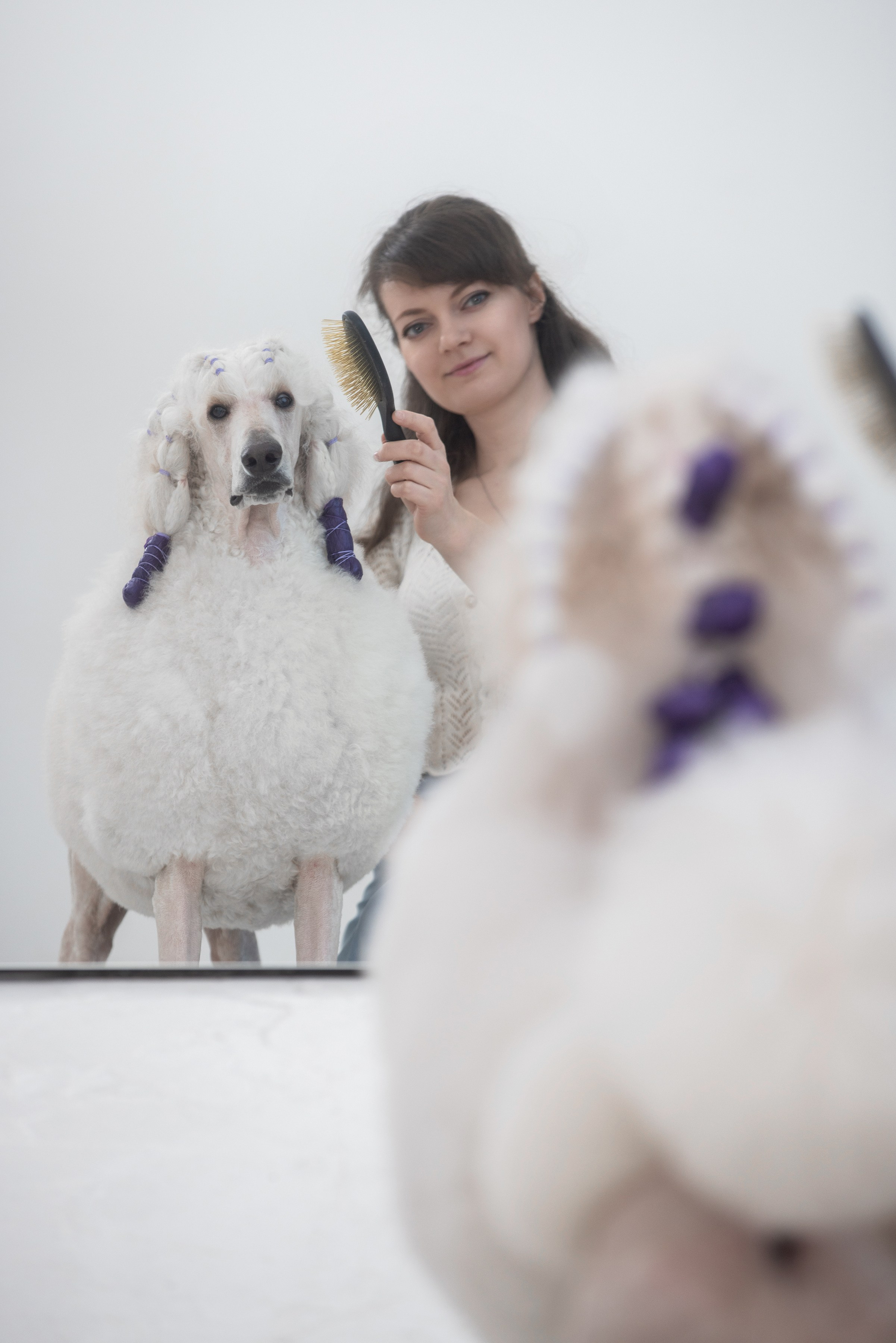 Собаки и не только. Фотограф Алена Звездина