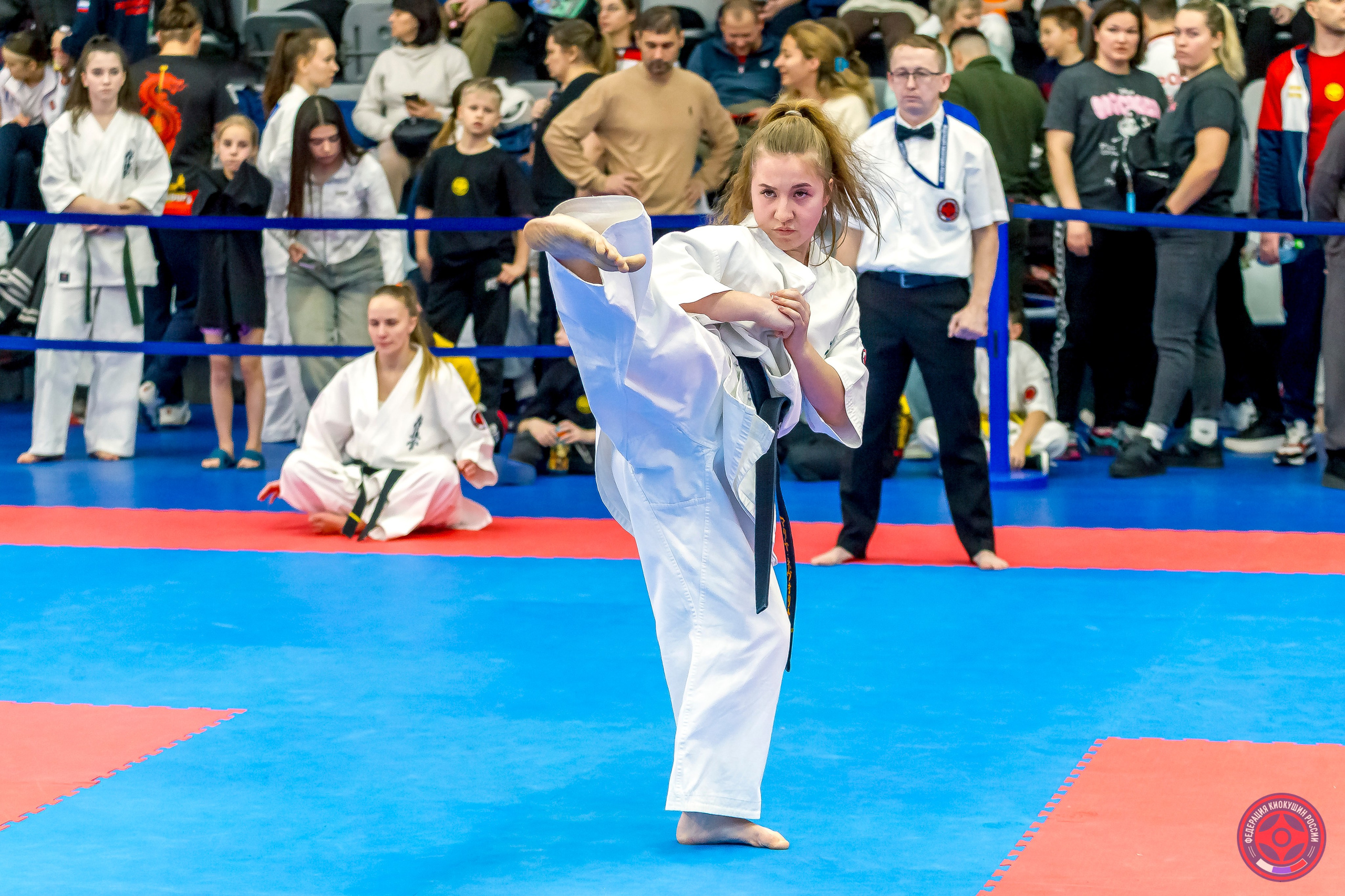 Международный турнир по киокушин «Открытый кубок Seiken». Репортажная съемка в Москве и области. Анималистика