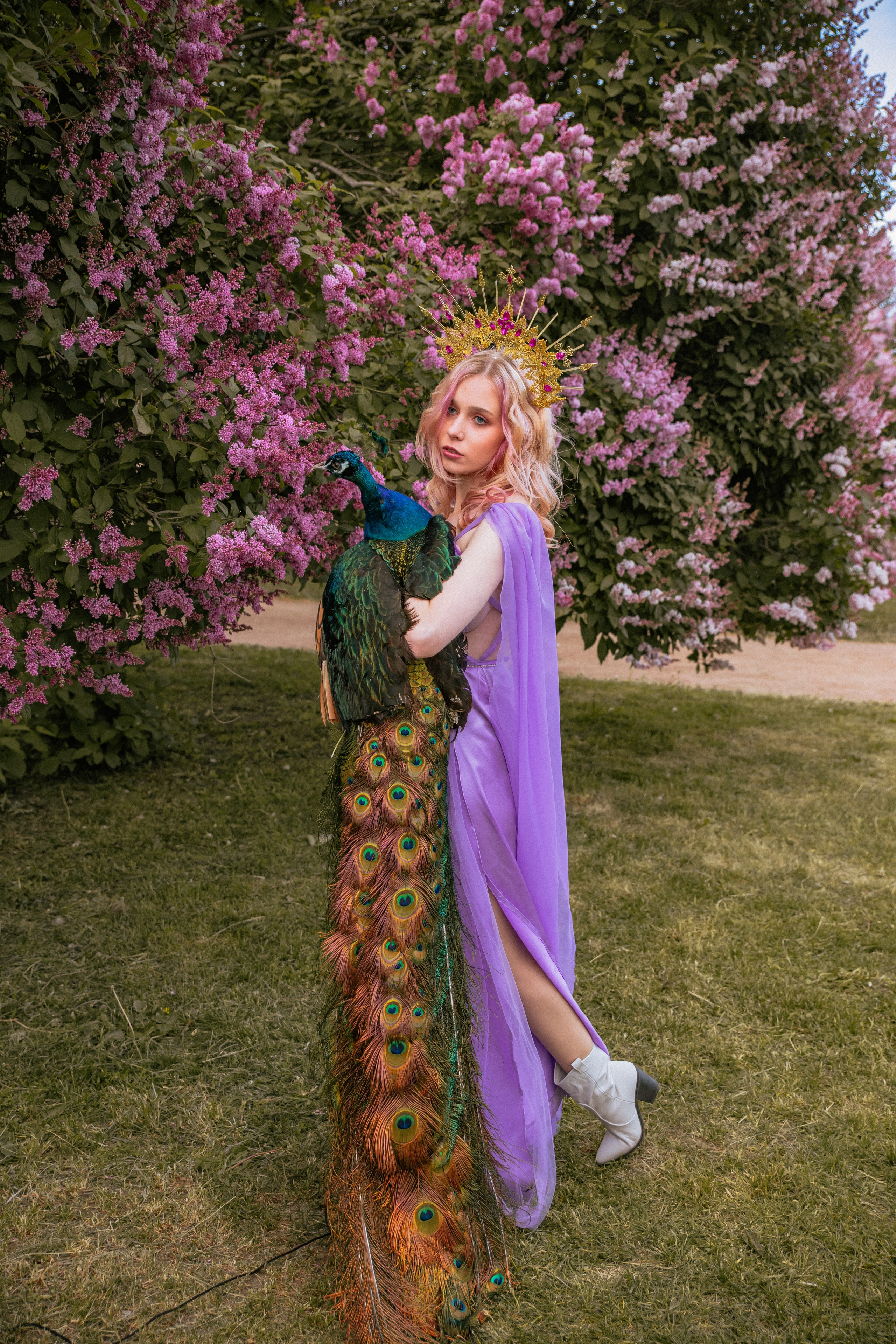 Павлин. Elena Sova — семейный и женский фотограф в Санкт-Петербурге