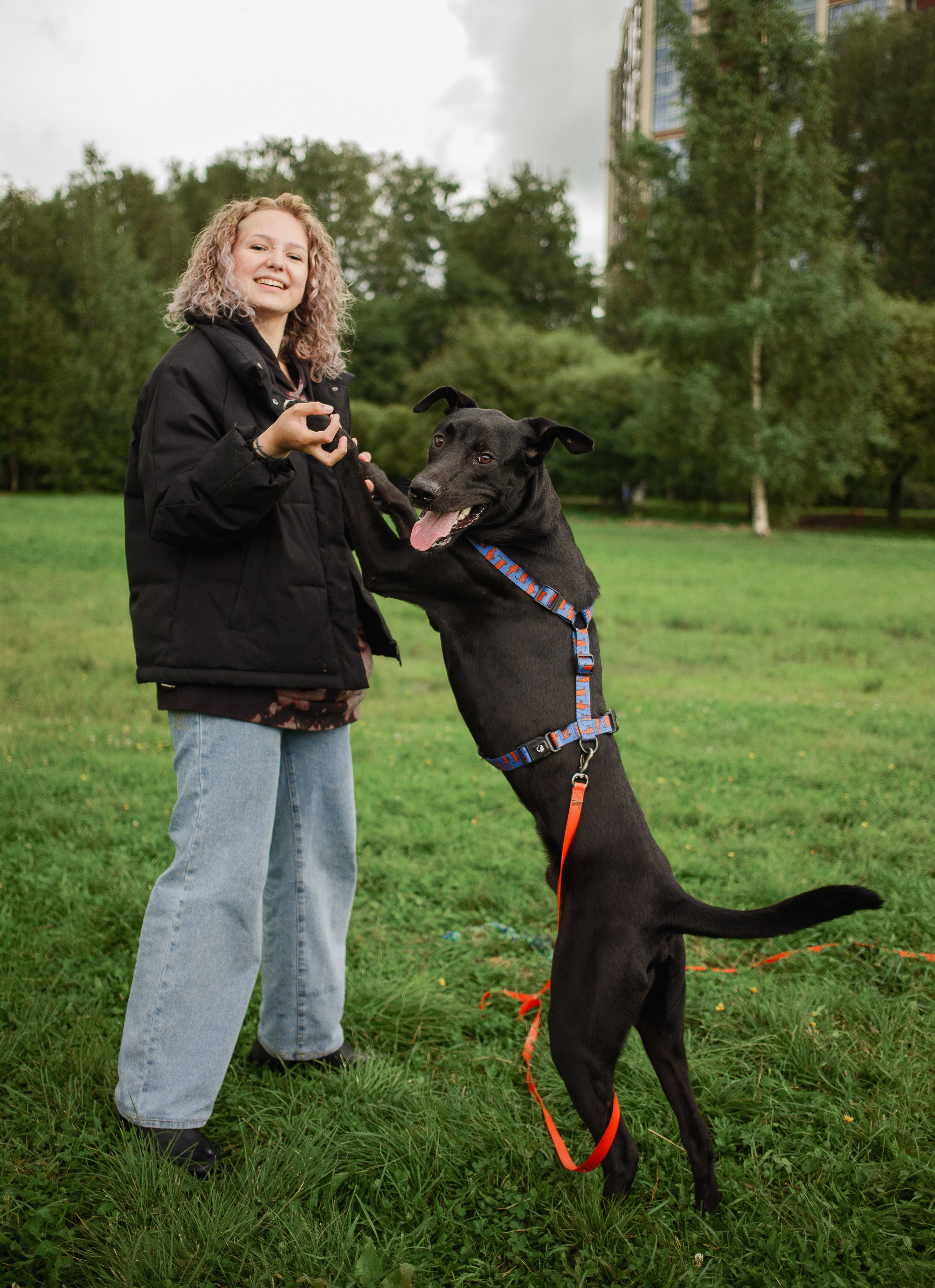 Отис ищет дом. Портретный фотограф в Санкт-Петербурге Катя Протасевич