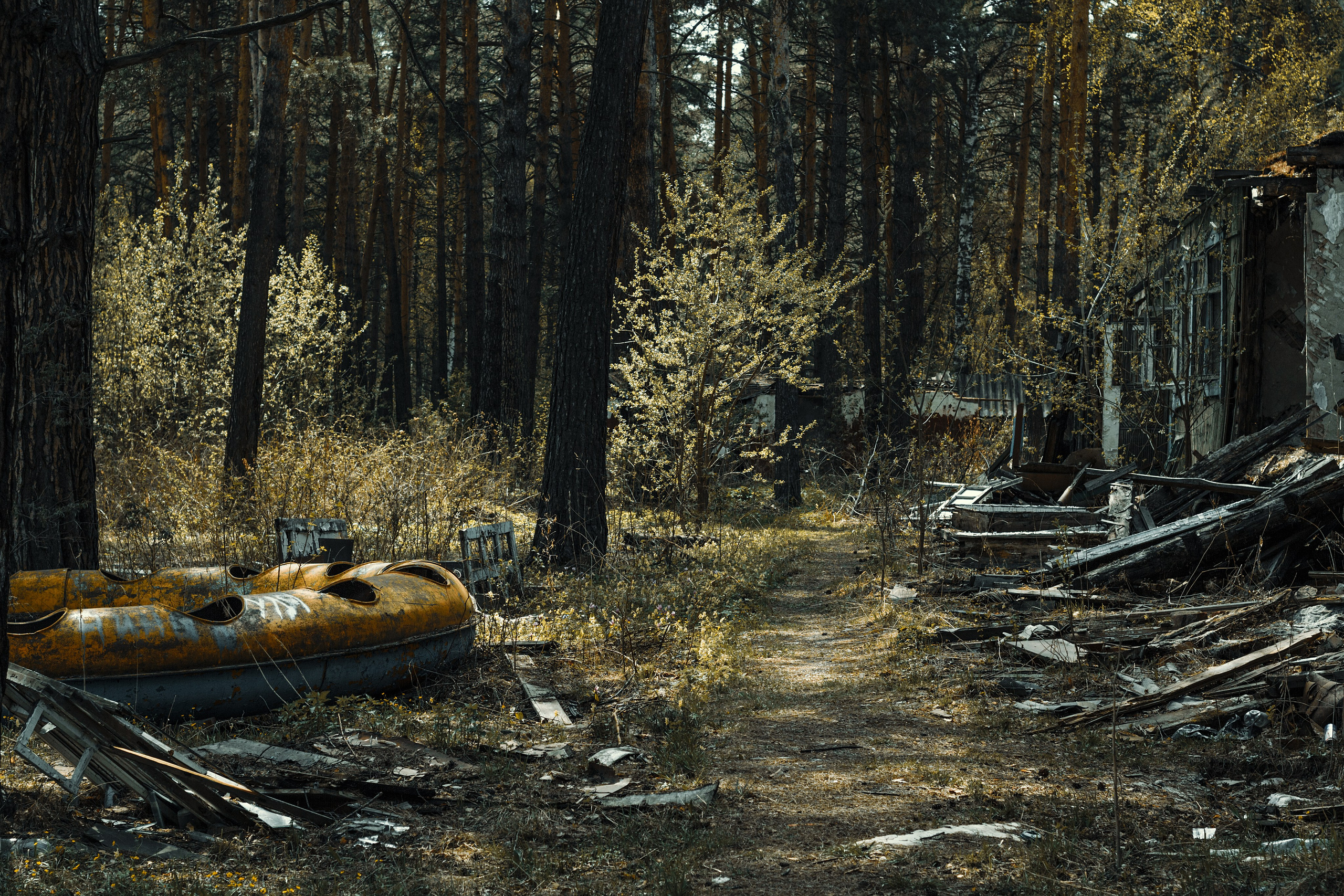 Мрачные. Фотограф в Новокузнецке