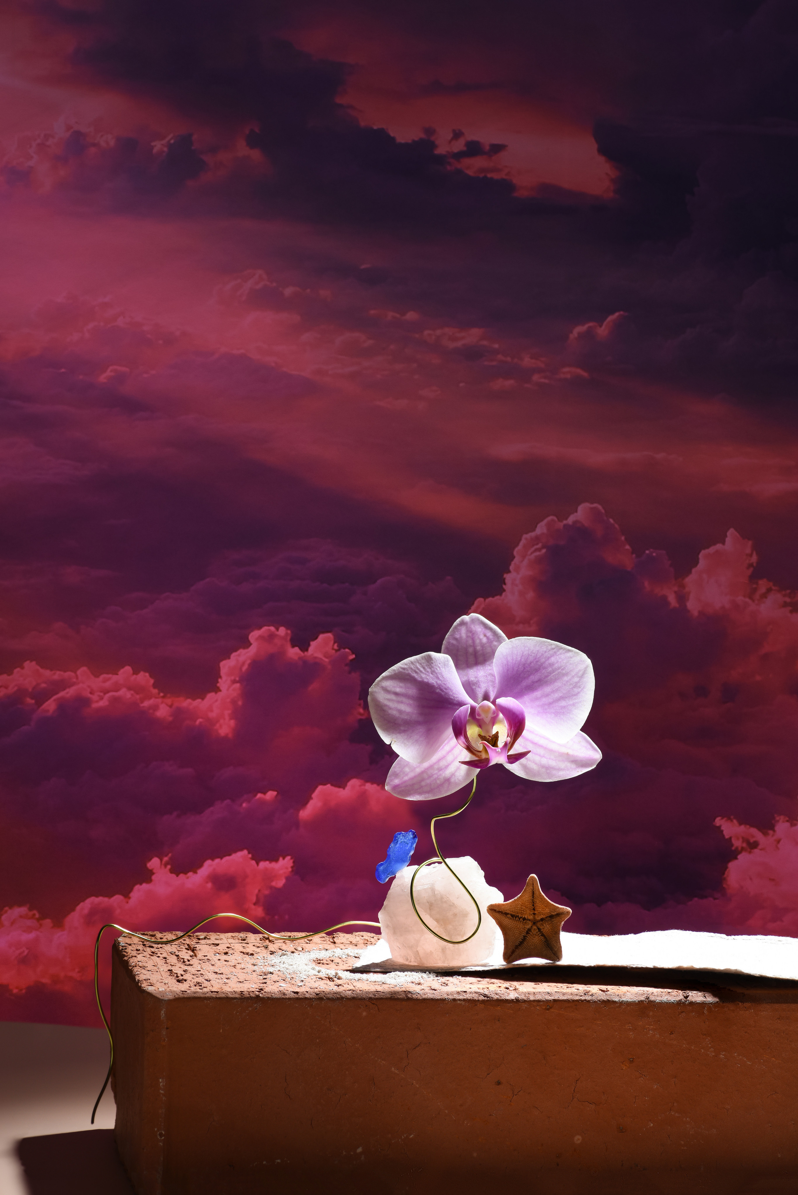 Личные проекты. Предметная фотография