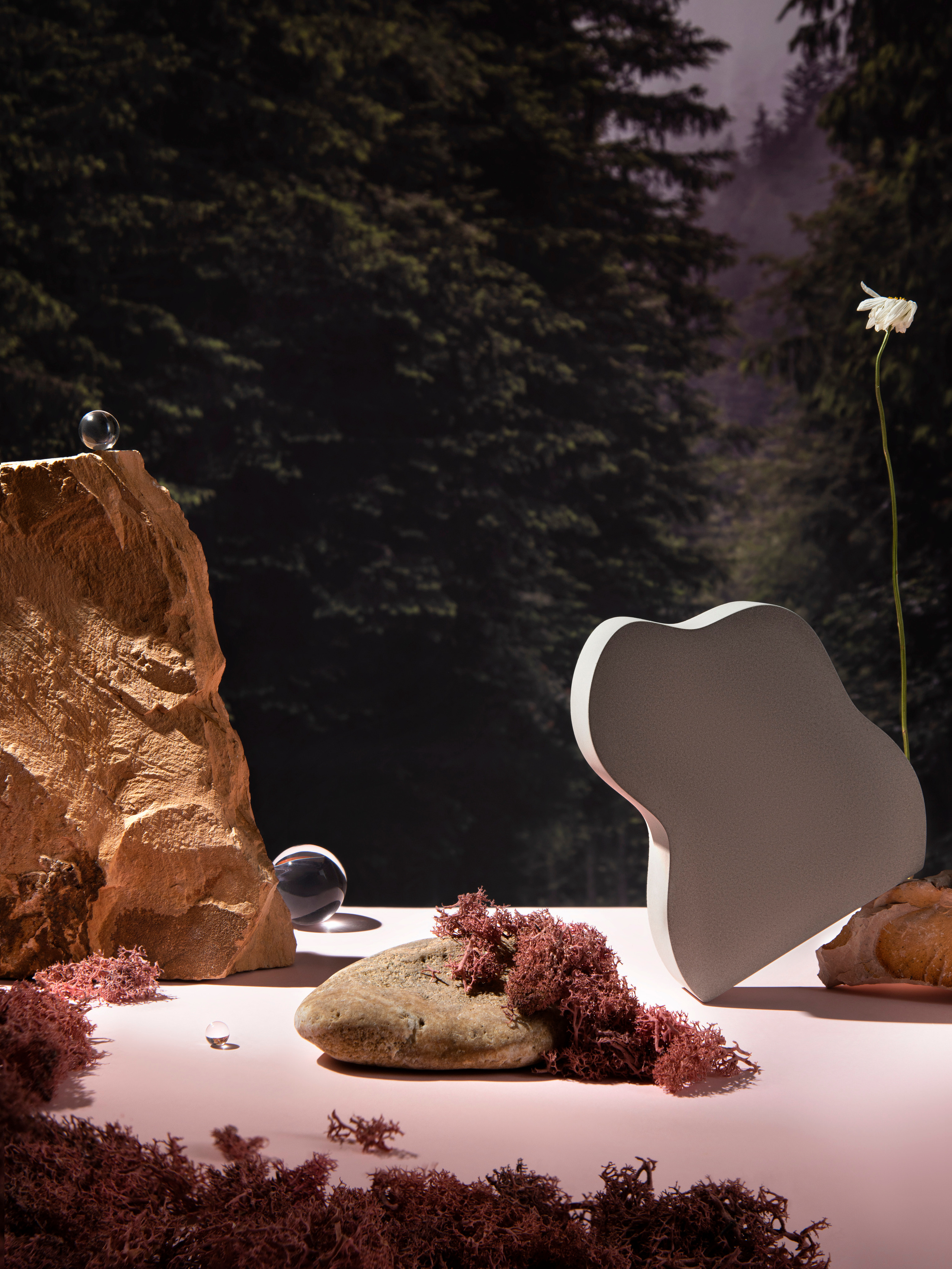 Личные проекты. Предметная фотография