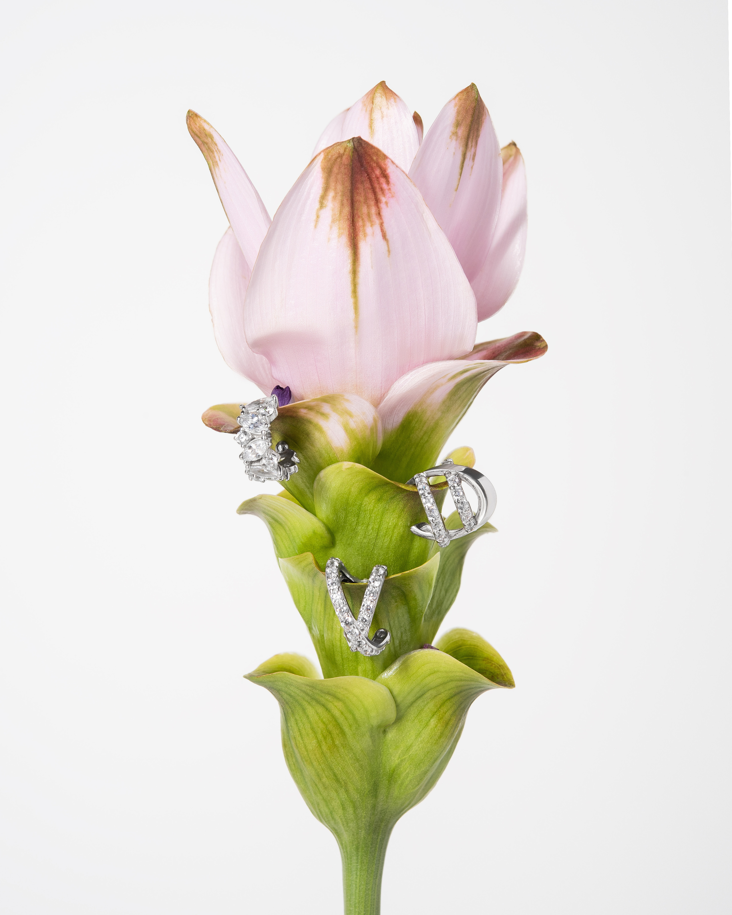 Украшения. Предметная фотография