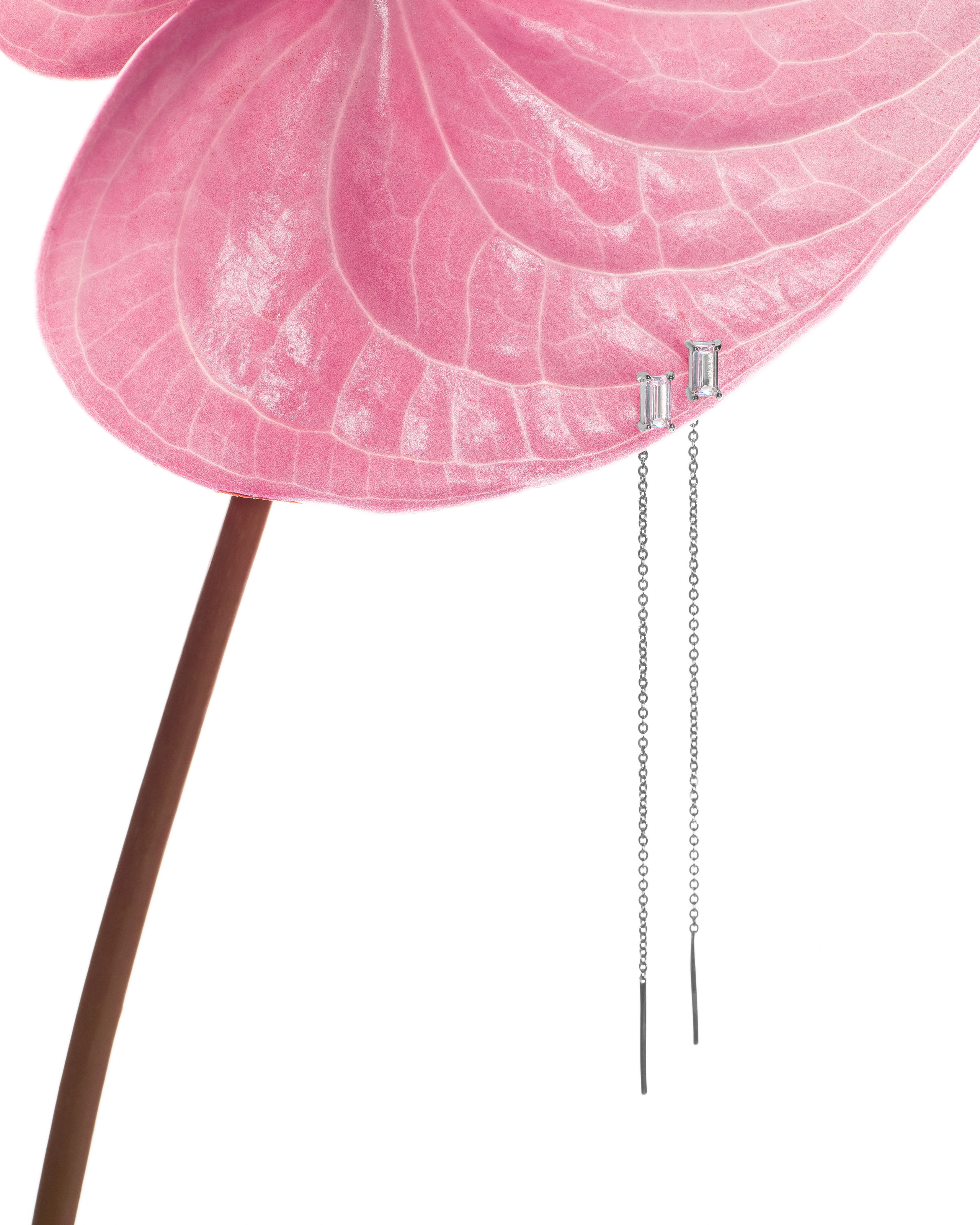 Украшения. Предметная фотография