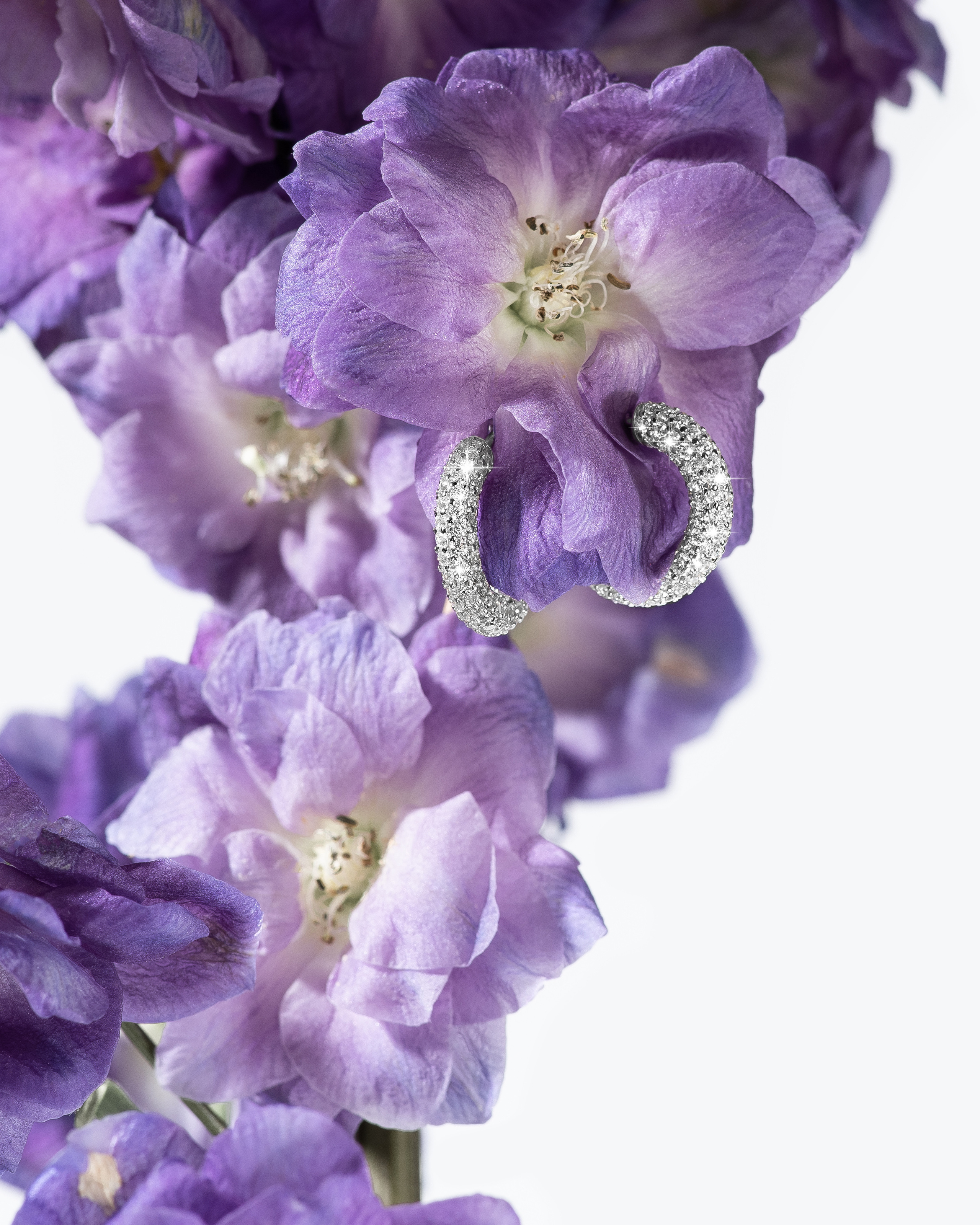 Украшения. Предметная фотография