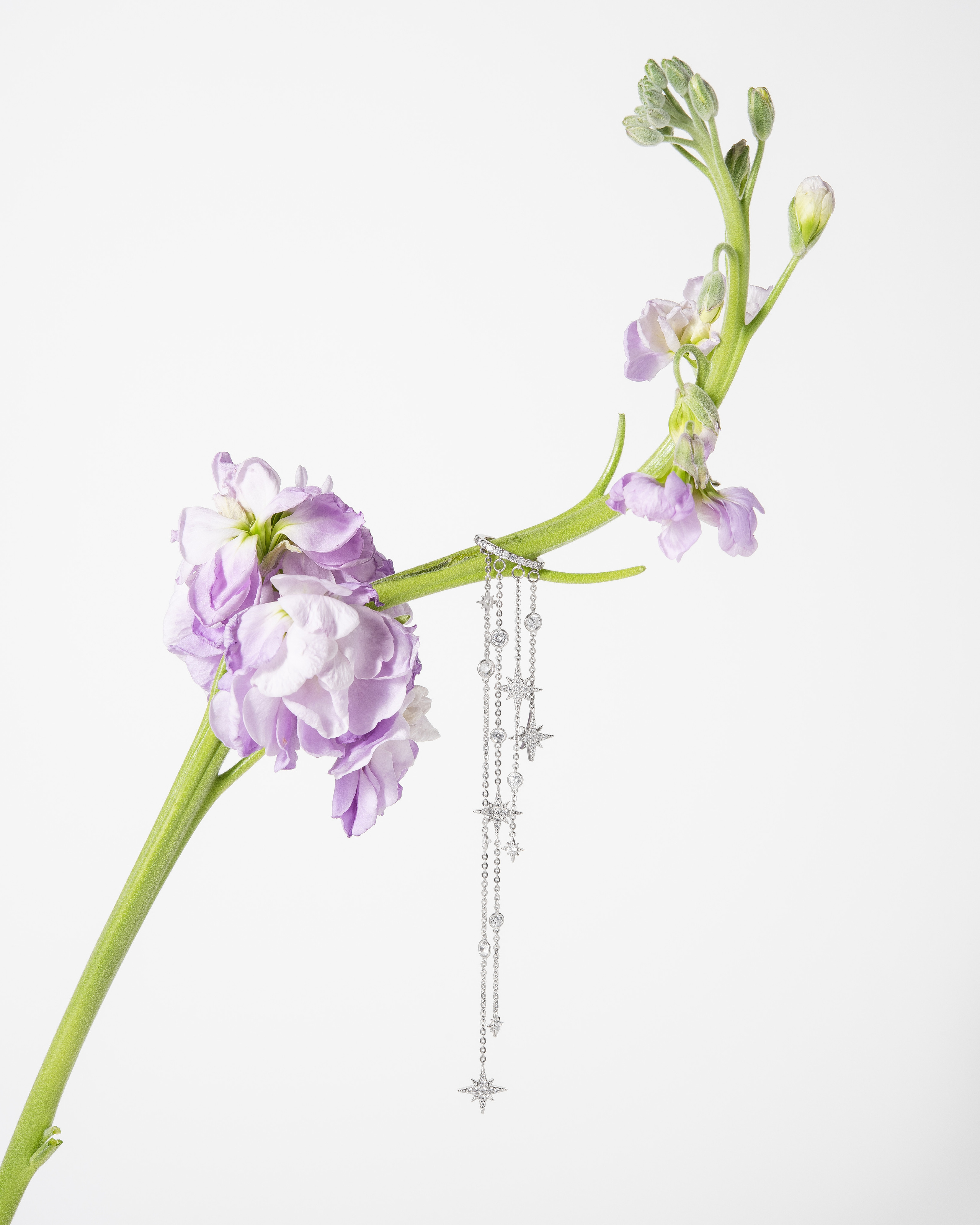 Украшения. Предметная фотография