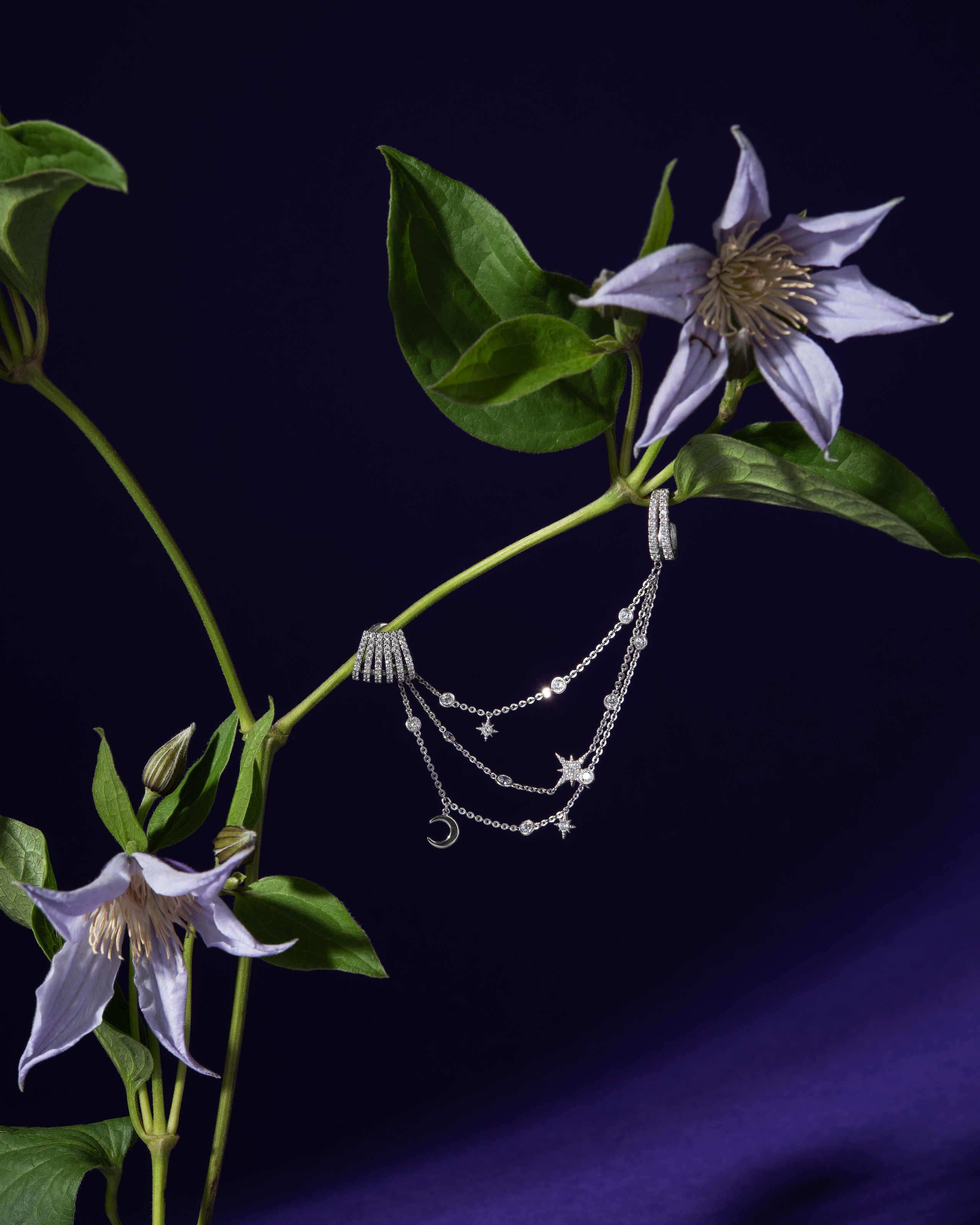 Украшения. Предметная фотография