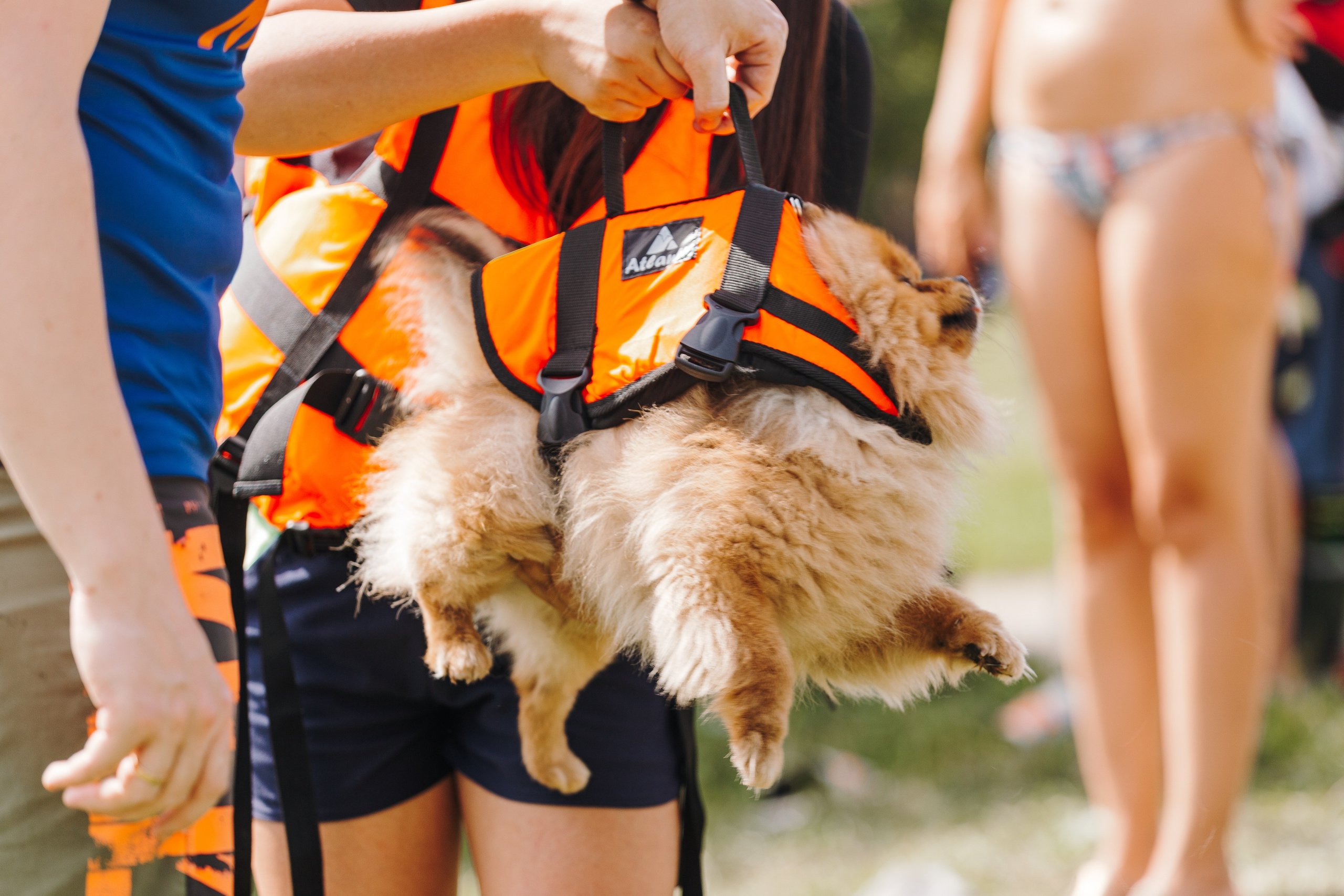 Petshop Sup day. Фотограф анималист Кристина Карпова, Москва