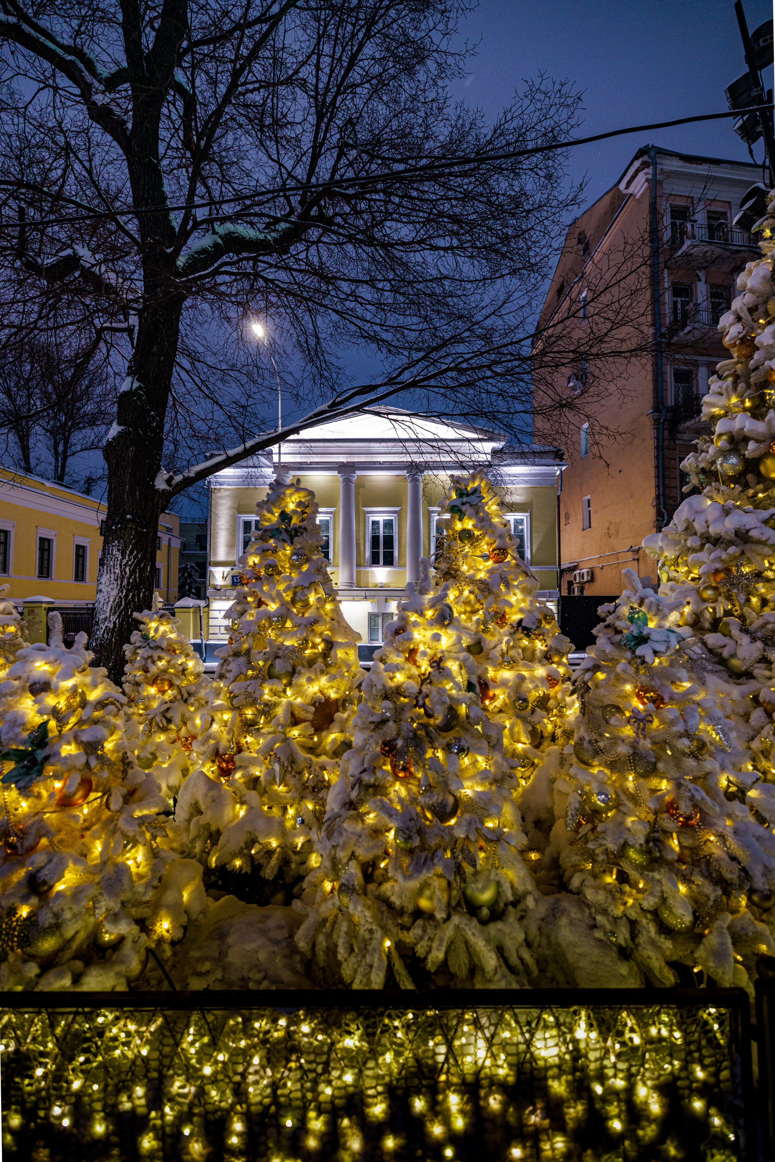 Бульвар. Январь 2026. Фотографирую жизнь! Московский фотограф волонтер