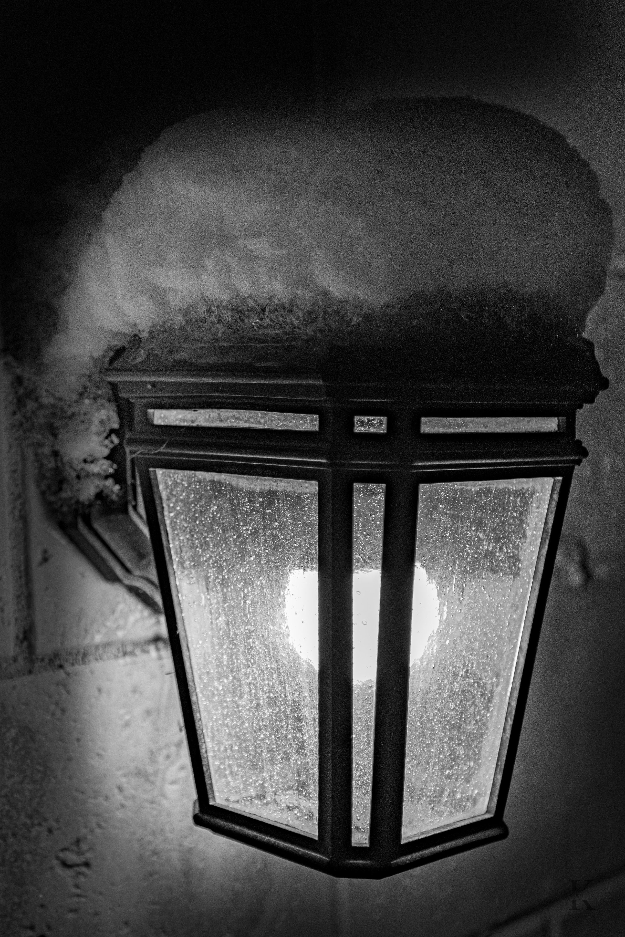 Природа 31 Декабря 2025 года. Клены. Фотографирую жизнь! Московский фотограф волонтер