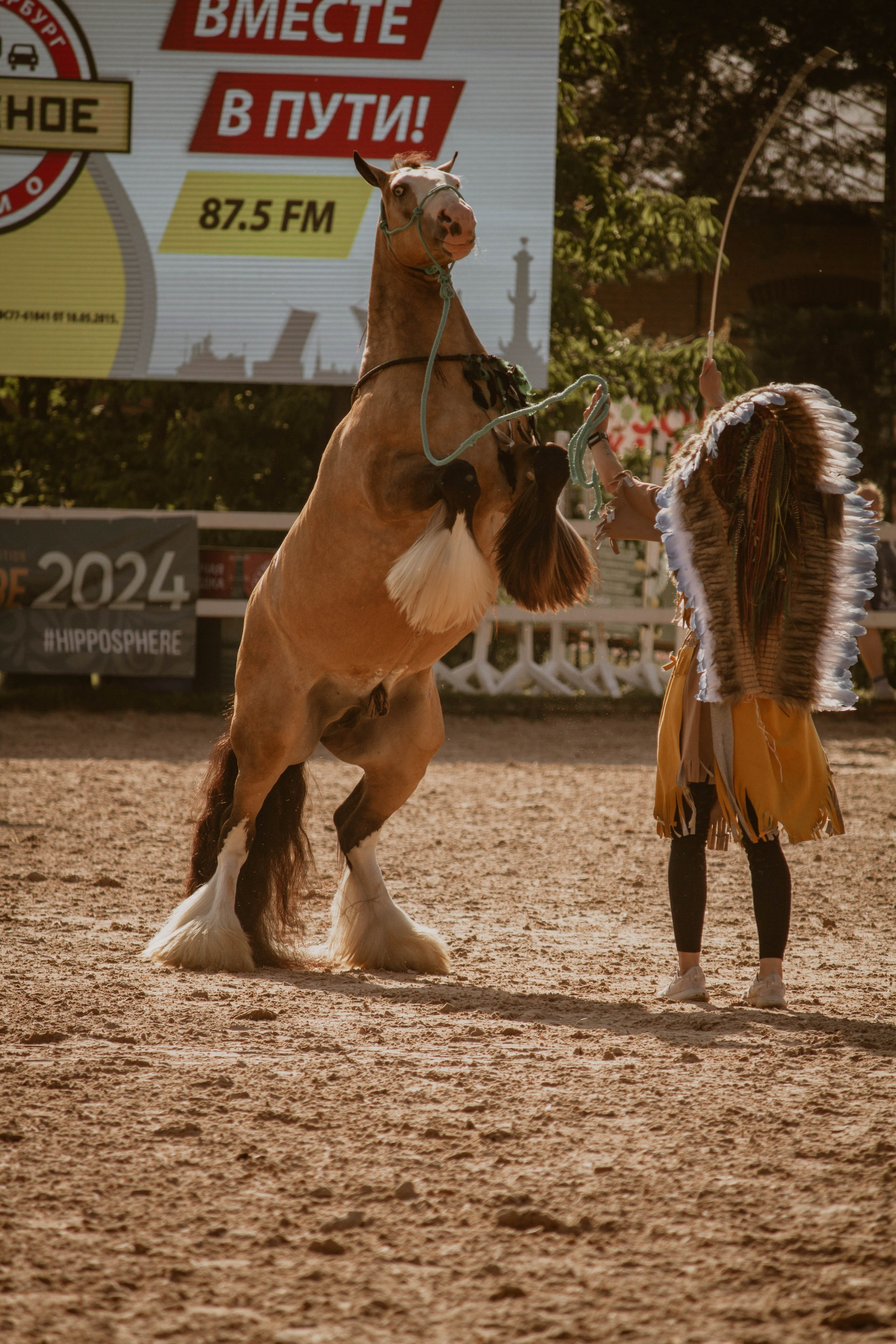 ИППОСФЕРА — Международная конная выставка. Создадим шедевр? Виталина и её фотоискусство