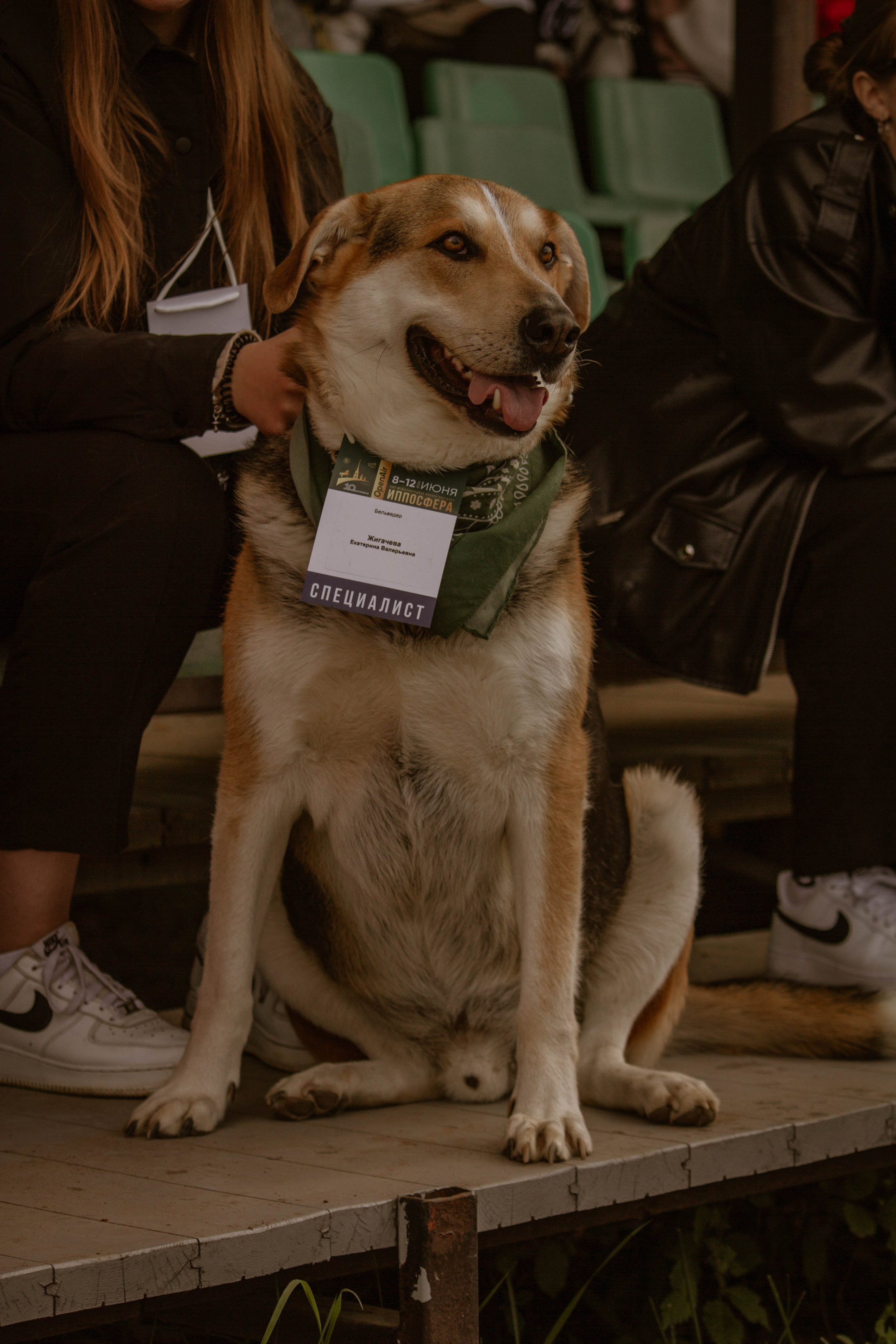 ИППОСФЕРА — Международная конная выставка. Создадим шедевр? Виталина и её фотоискусство