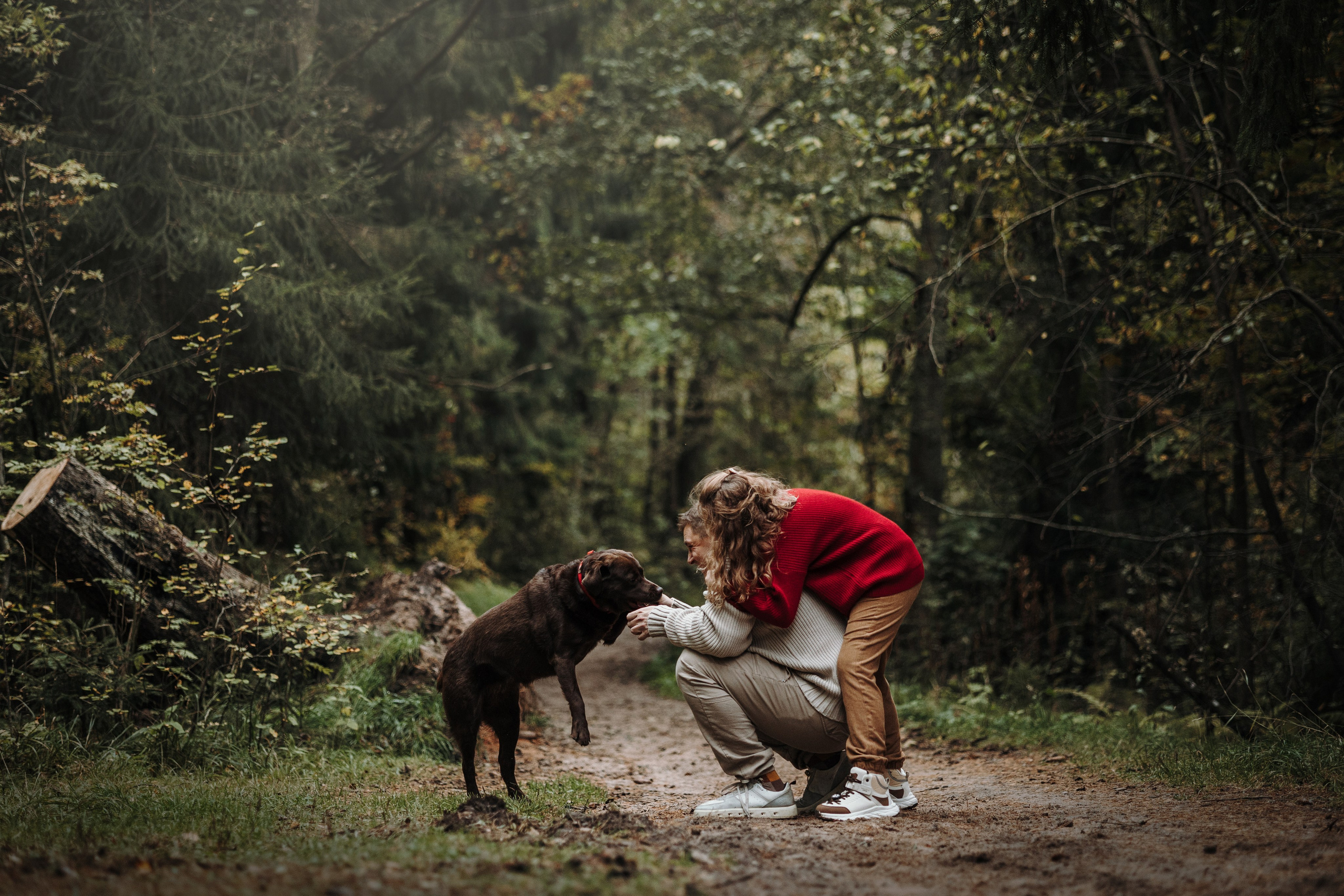 Девочки и их семья. Фотограф — Анималист | Санкт-Петербург