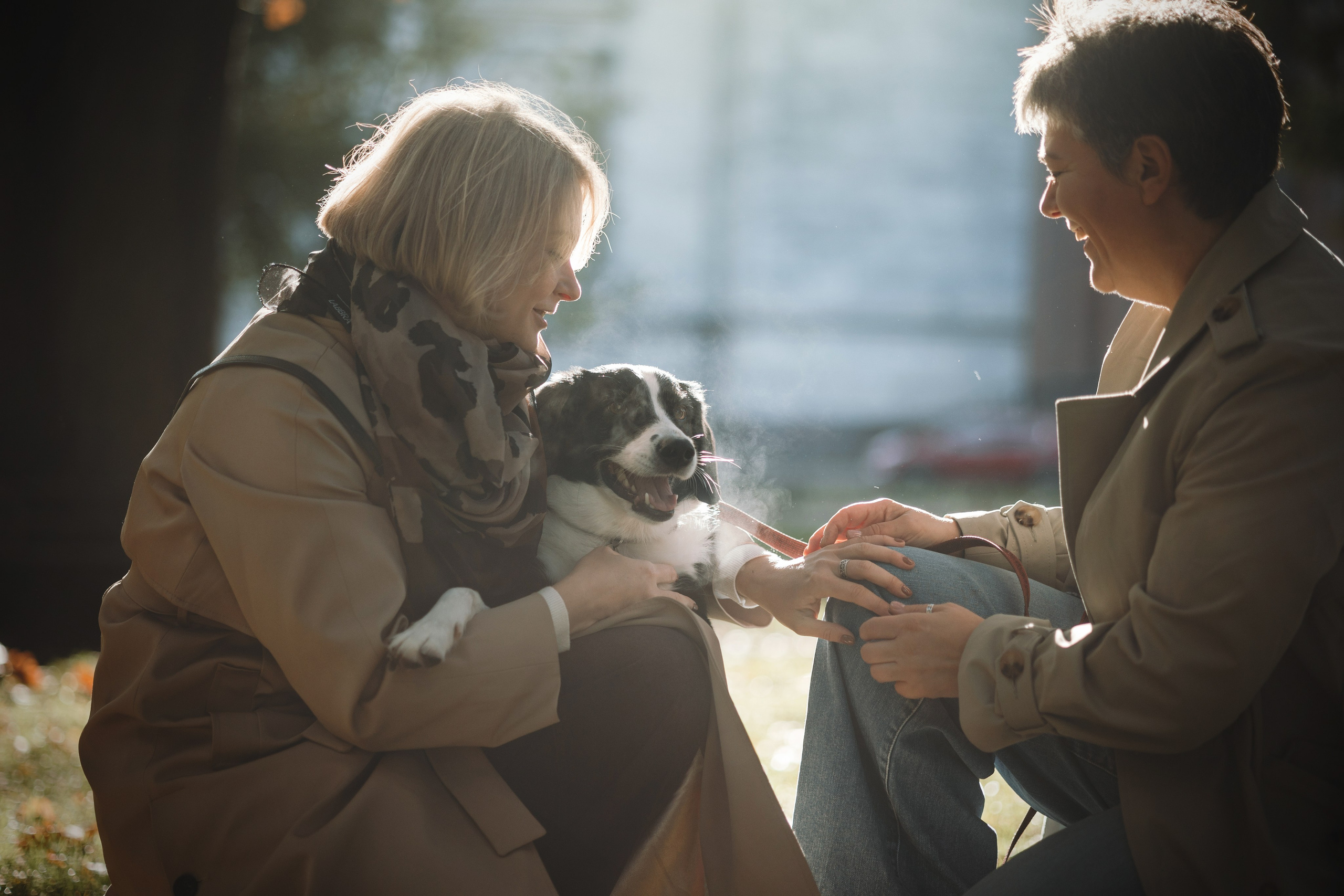 Мишель и ее семья. Фотограф — Анималист | Санкт-Петербург