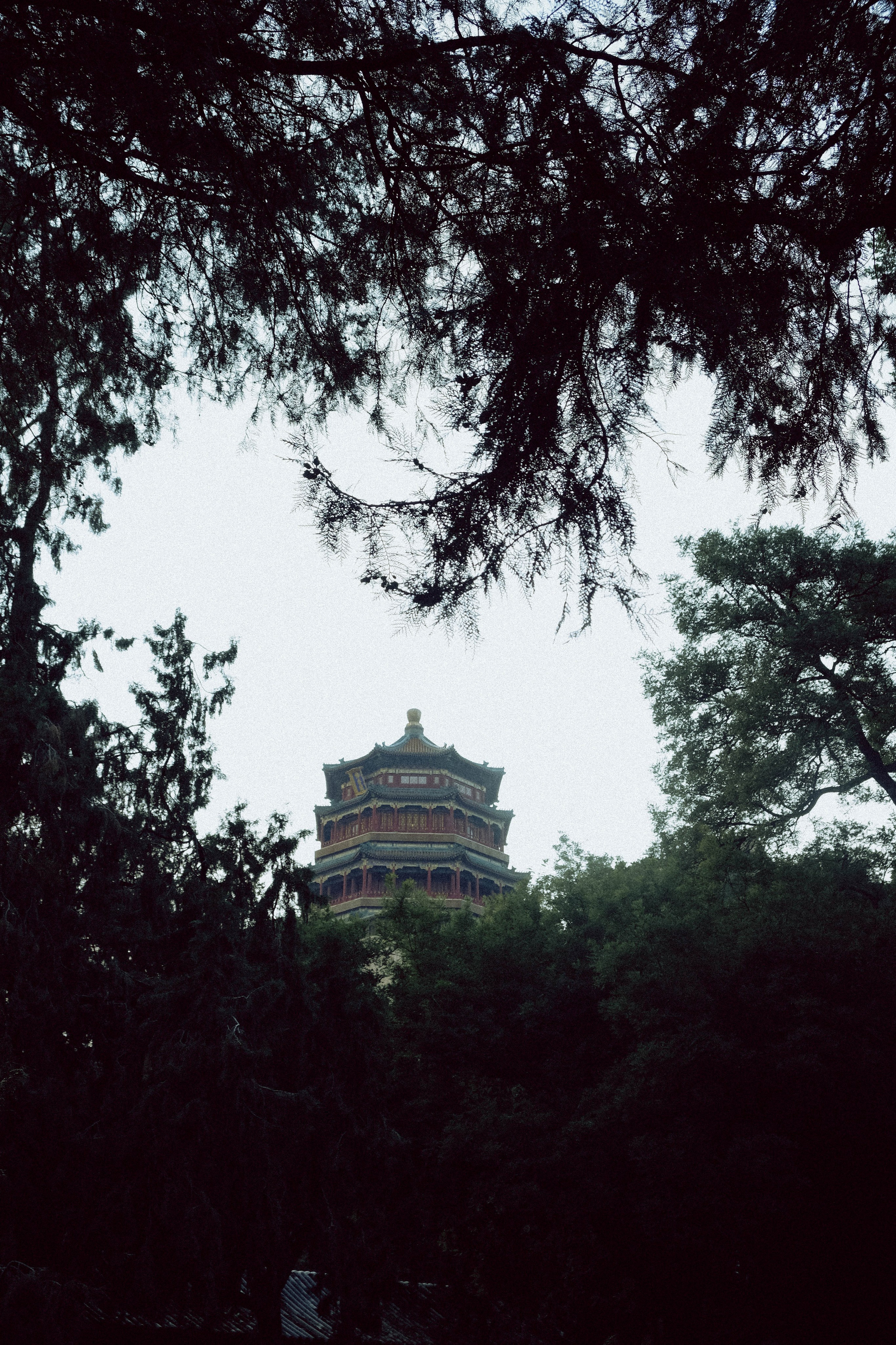 CHINA. ГЛАВНАЯ