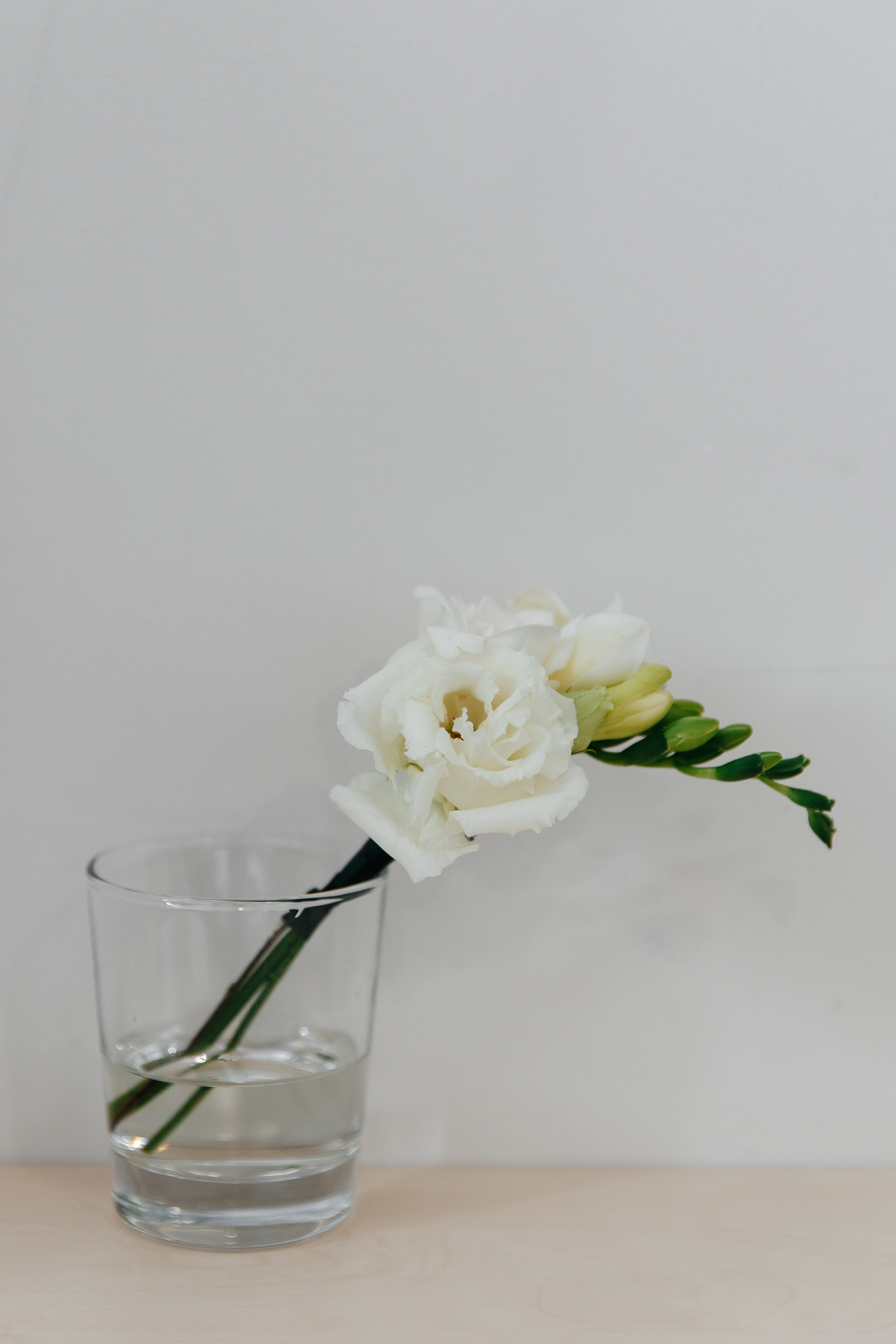 Гриша & Настя. Свадебный и семейный фотограф в Твери, Москве, Санкт-Петербурге