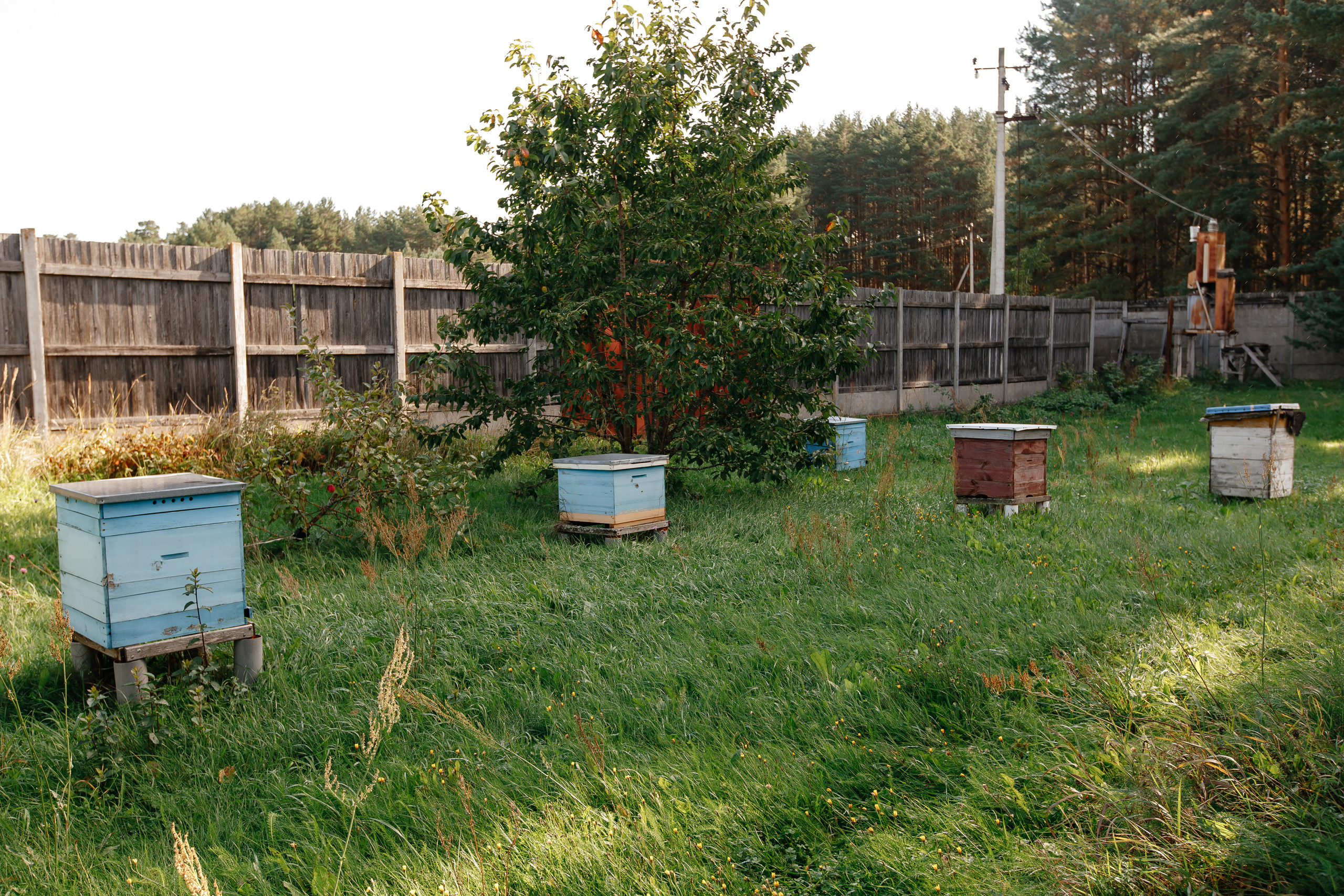 Дом для продажи. Свадебный и семейный фотограф в Твери, Москве, Санкт-Петербурге