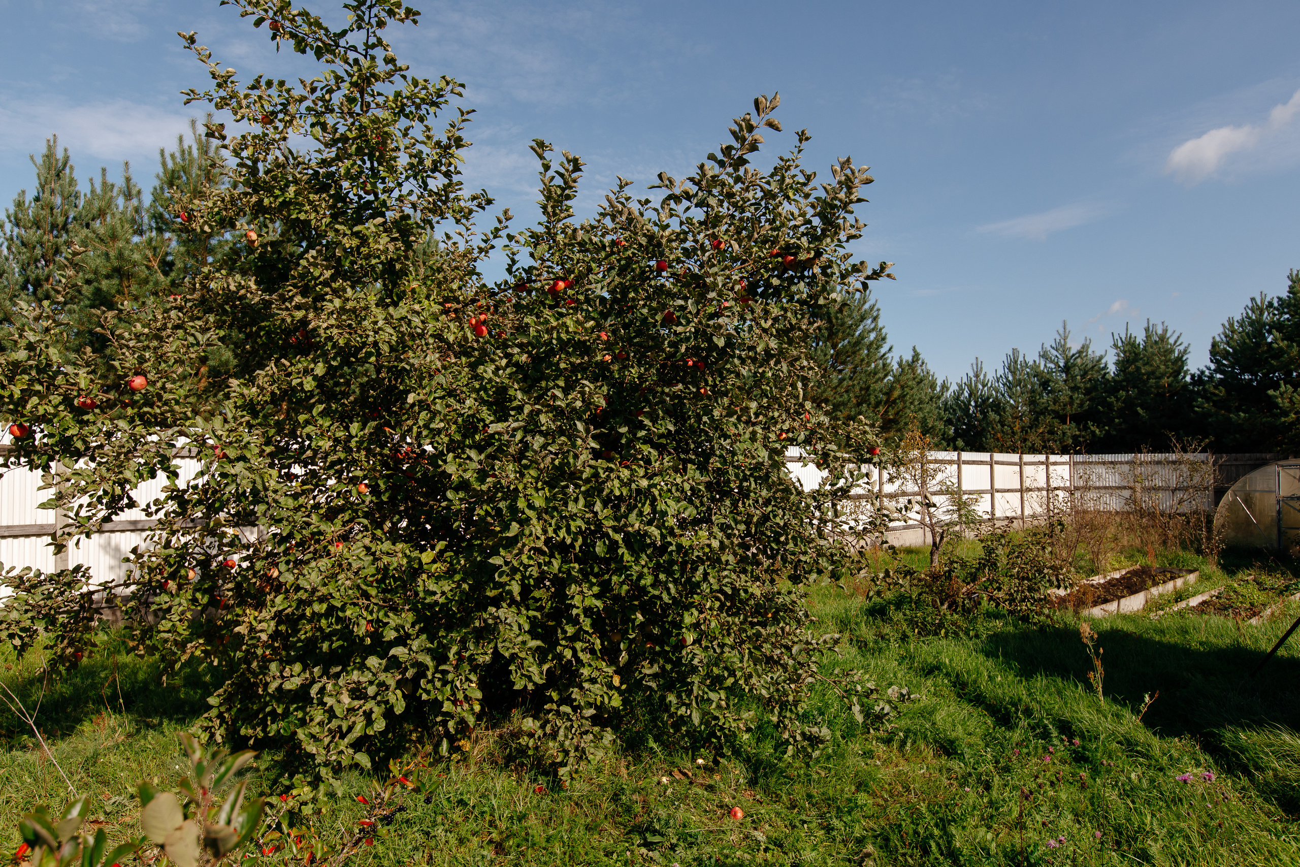 Дом для продажи. Свадебный и семейный фотограф в Твери, Москве, Санкт-Петербурге