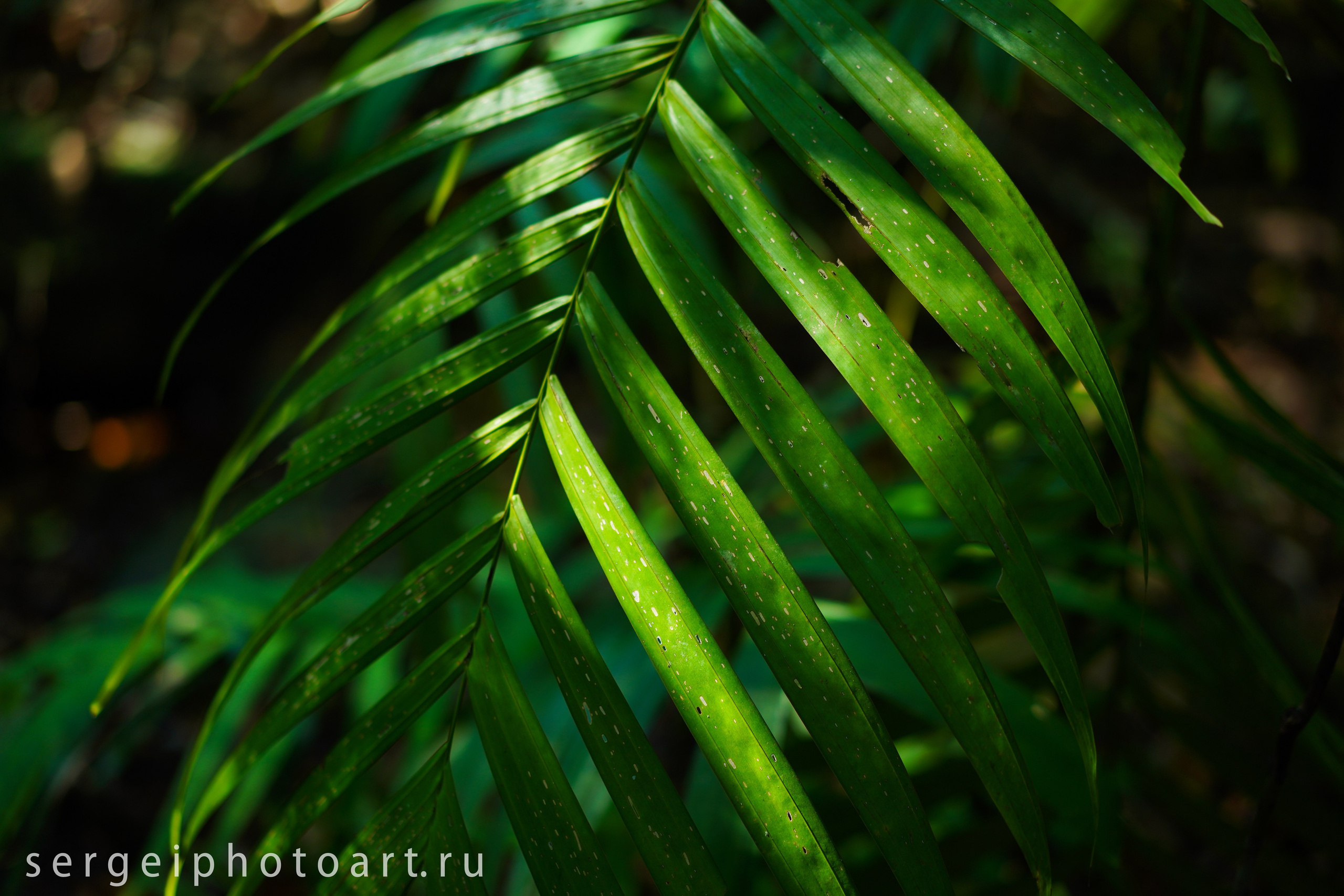 Остров Фукуок, Вьетнам. Фотограф Сергей Кишкель Дананг Нячанг Фукуок