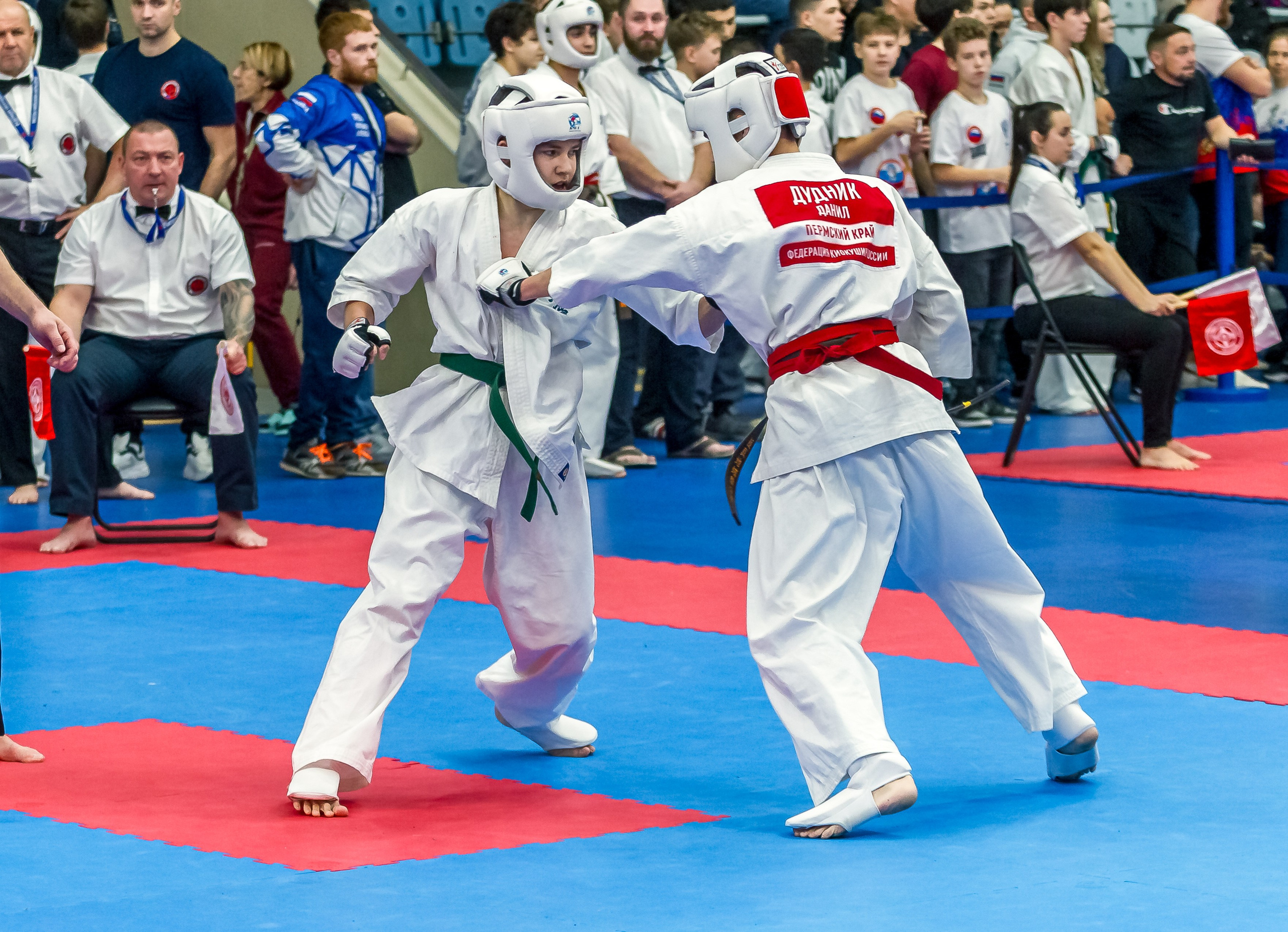 Соревнования по Киокушин памяти С. Увицкого. Репортажная съемка в Москве и области. Анималистика