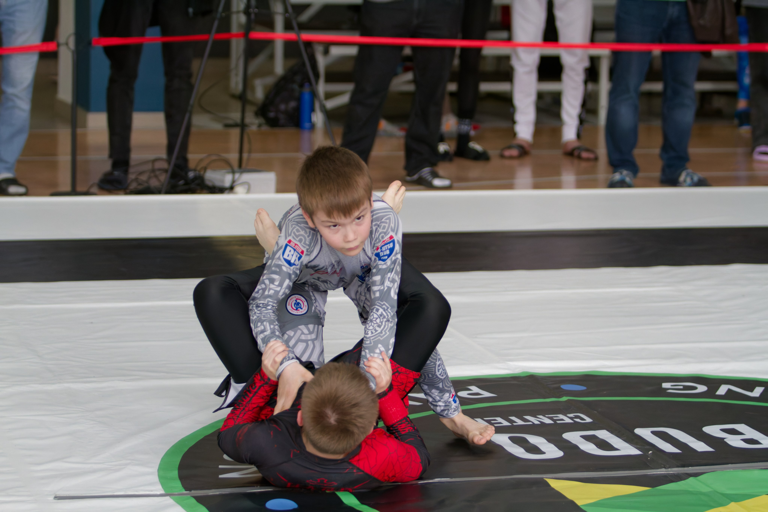 Борьба. Джиу-джитсу 26.04.2025. Репортажный и спортивный фотограф в г. Пермь Зильберг Павел