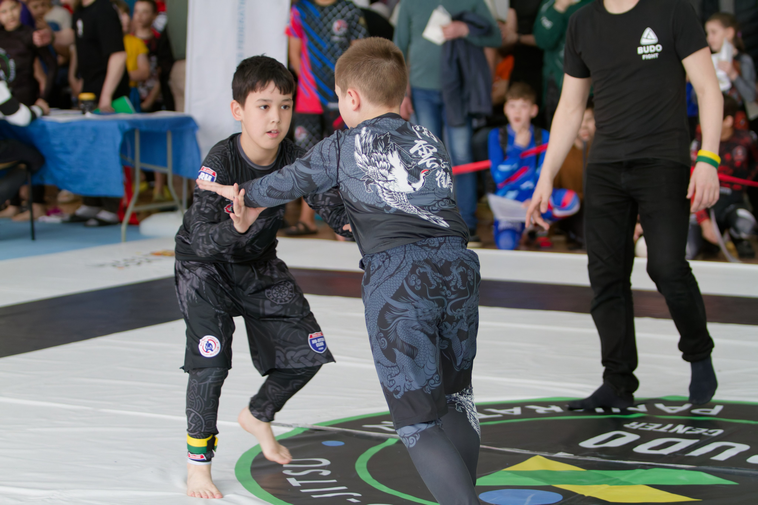 Борьба. Джиу-джитсу 26.04.2025. Репортажный и спортивный фотограф в г. Пермь Зильберг Павел