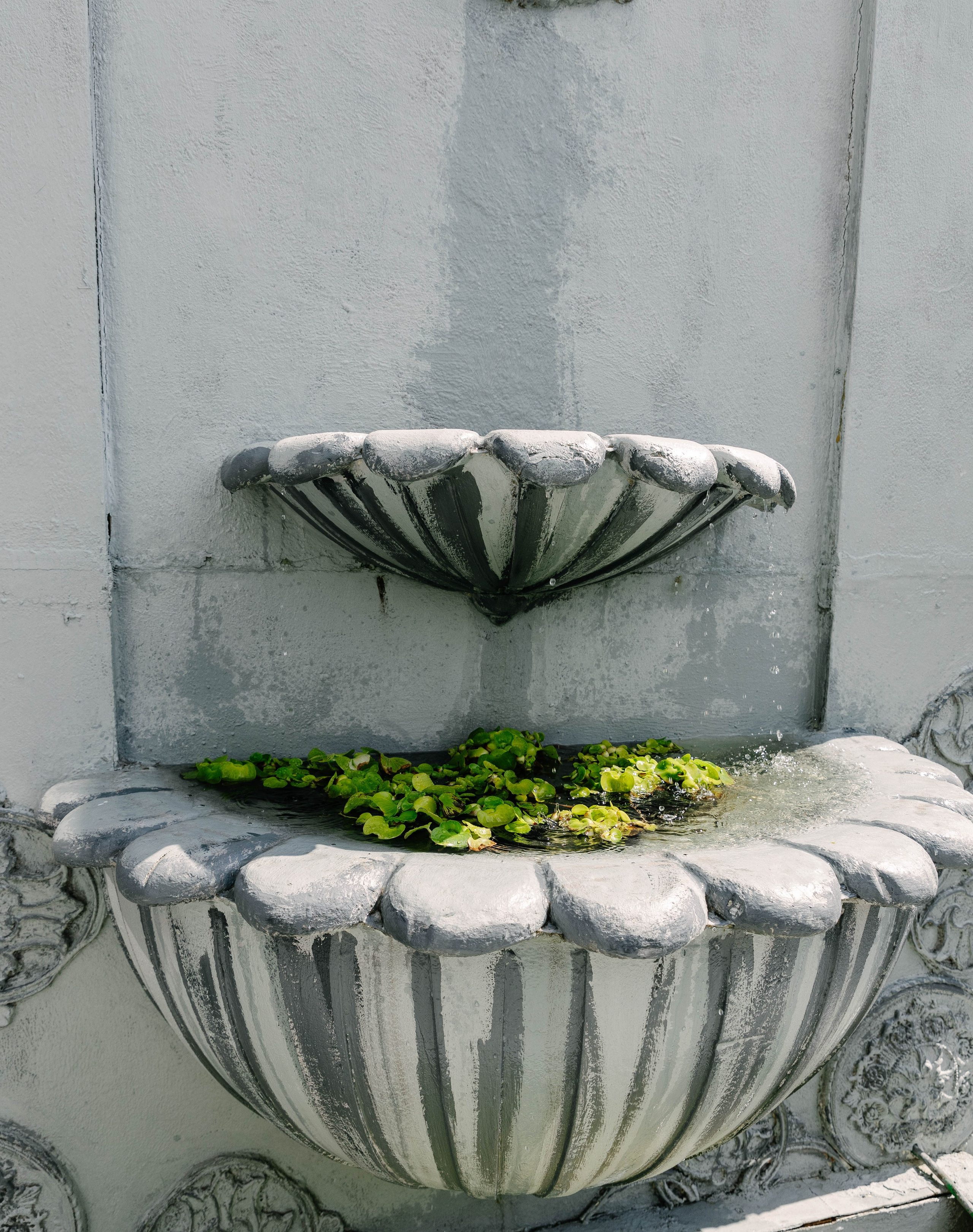 08.08.2024. Свадебный и портретный фотограф Воронеж Галя Серватович