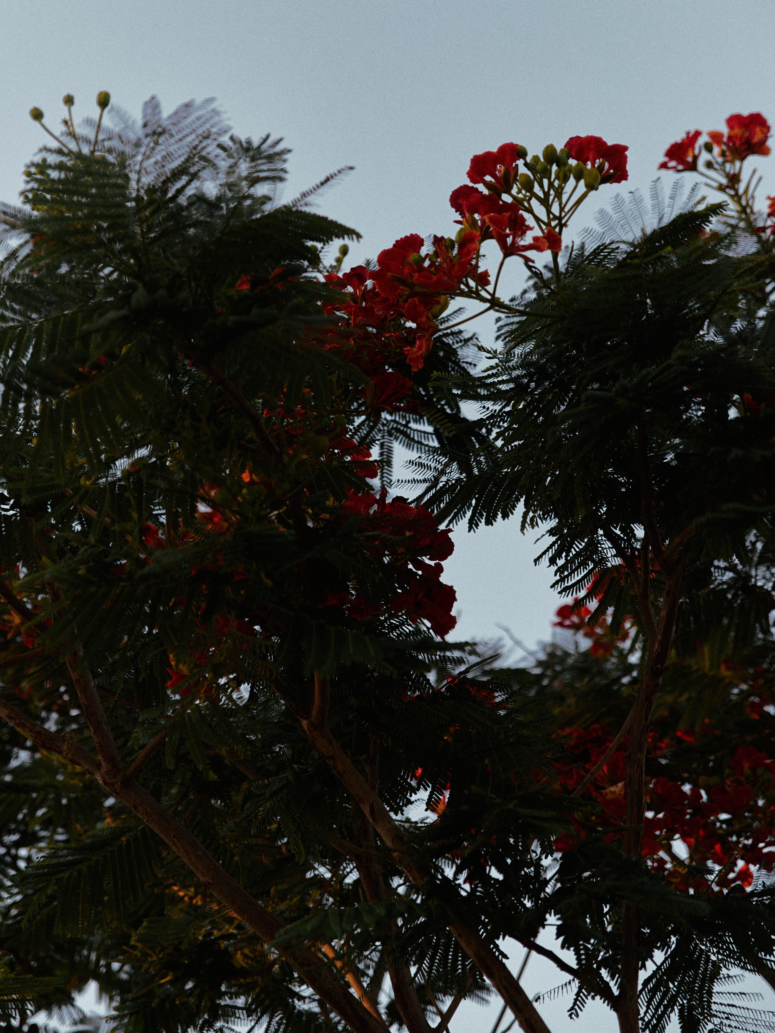 Диптих. Jorgis — фотограф в Хургаде / обучение фотографии