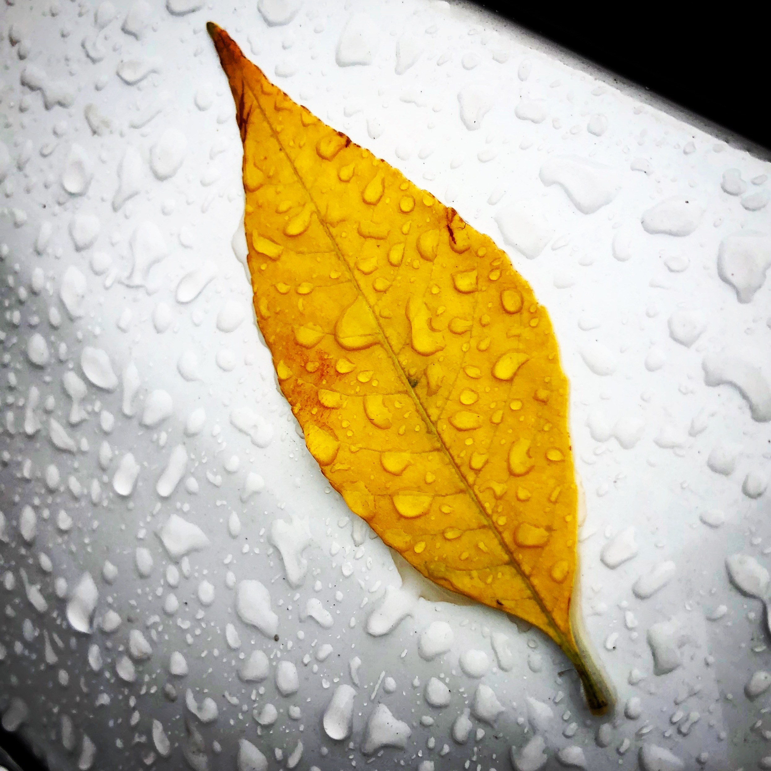 Снято на телефон. Фотография, ретушь, сканирование, восстановление старых фото, интерьерная съёмка, студия. Данилов Александр, Москва