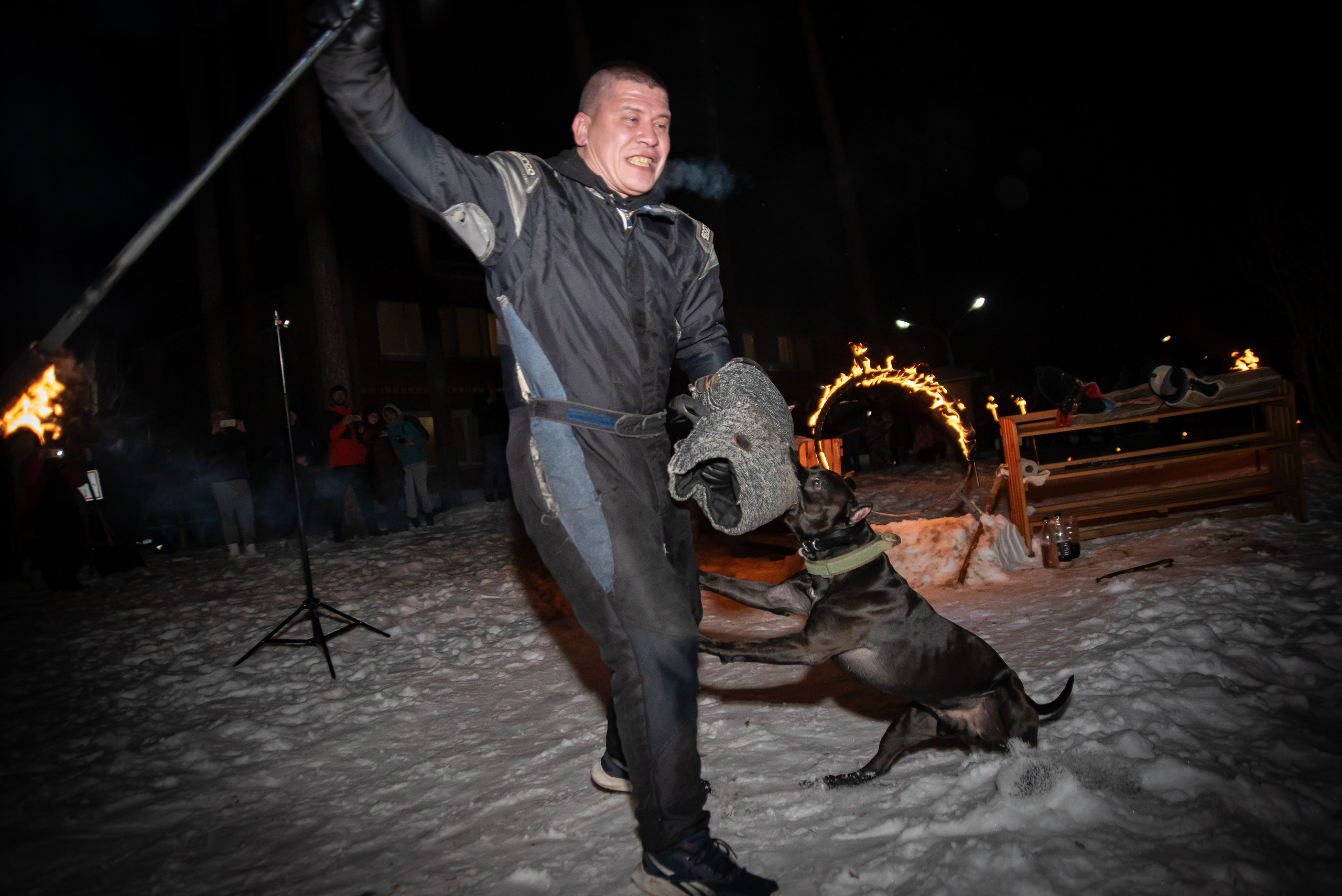 Фотосъёмка с собаками в Кинологическом лагере. Фотограф Макс Огурцов в Нижнем Новгороде