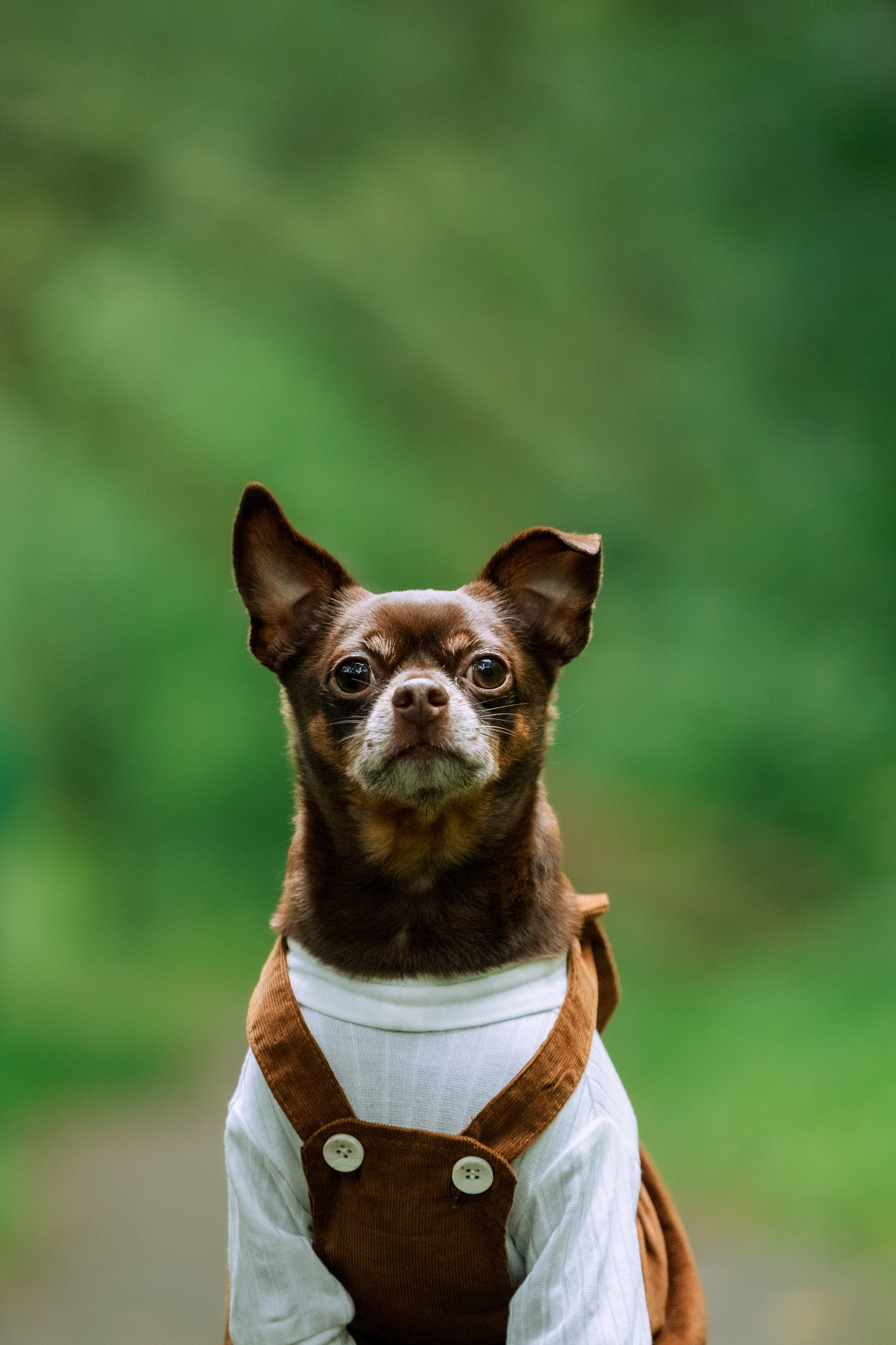 Юля и Леонид. Фотограф-анималист Татьяна Степанова